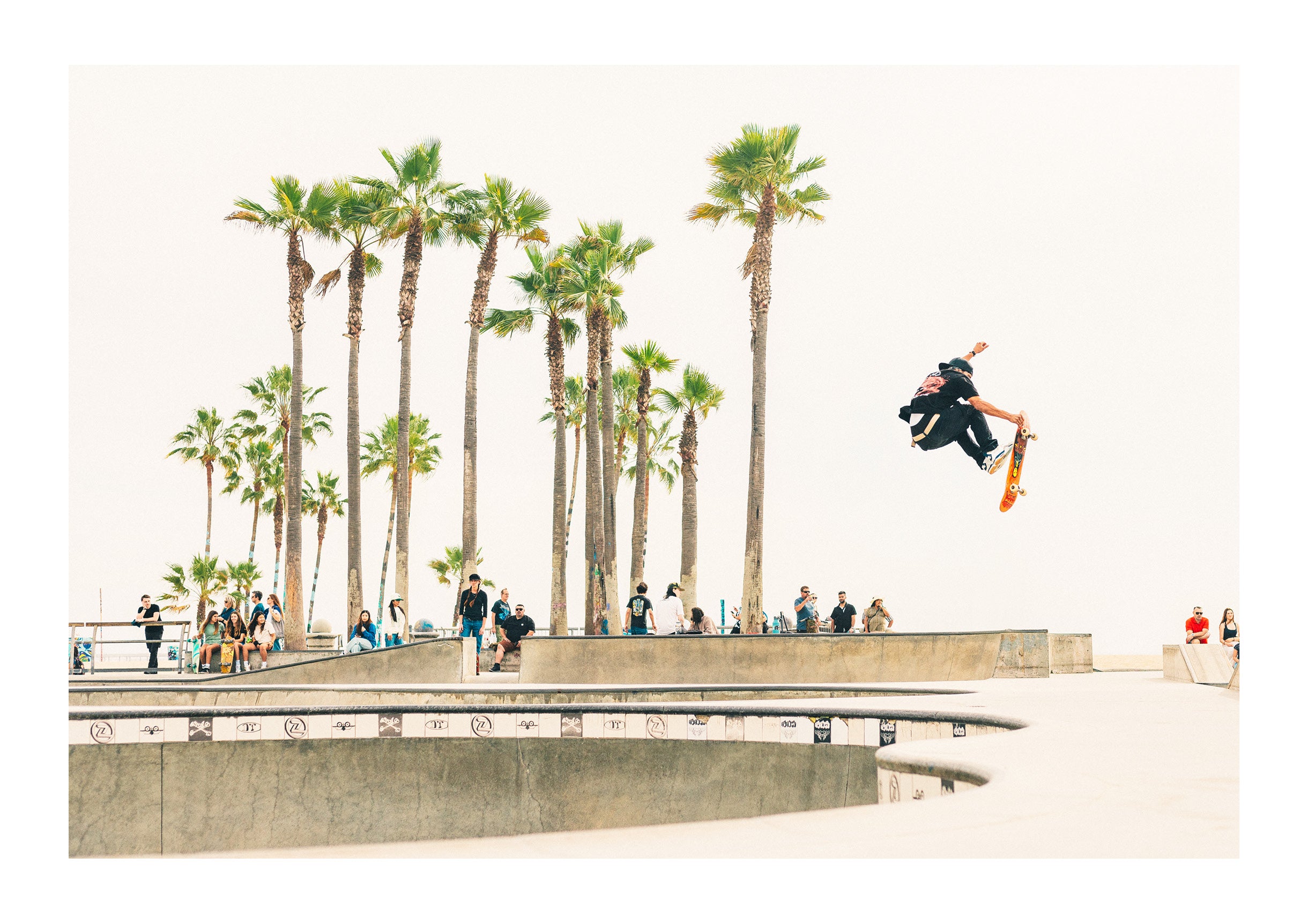 Venice Momentum