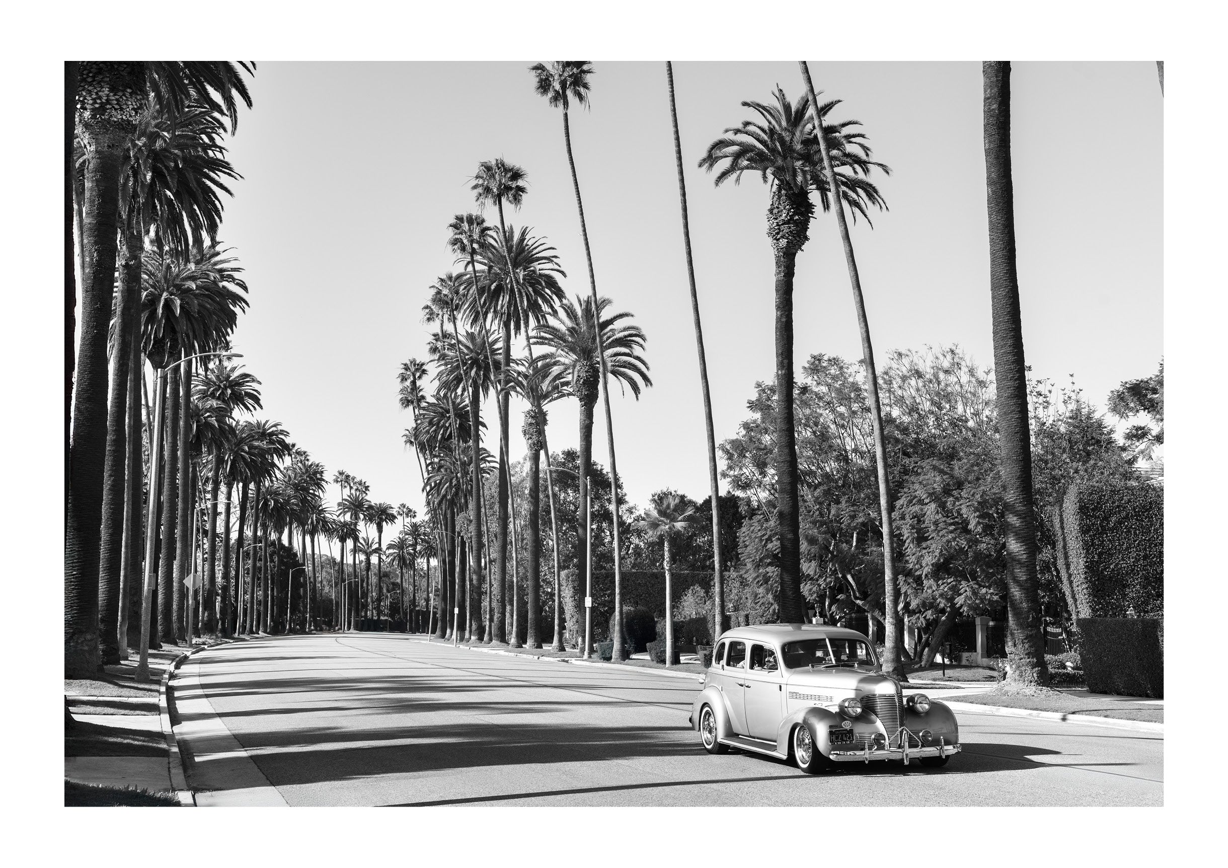 A Quiet Drive in Beverly Hills