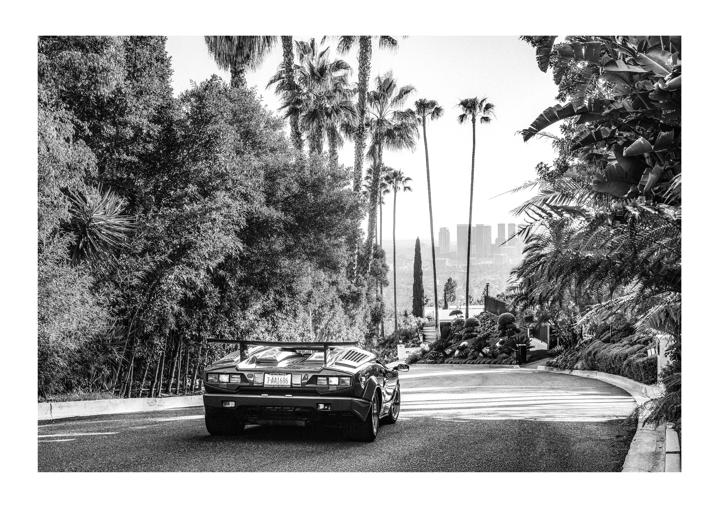 Countach in the Hills