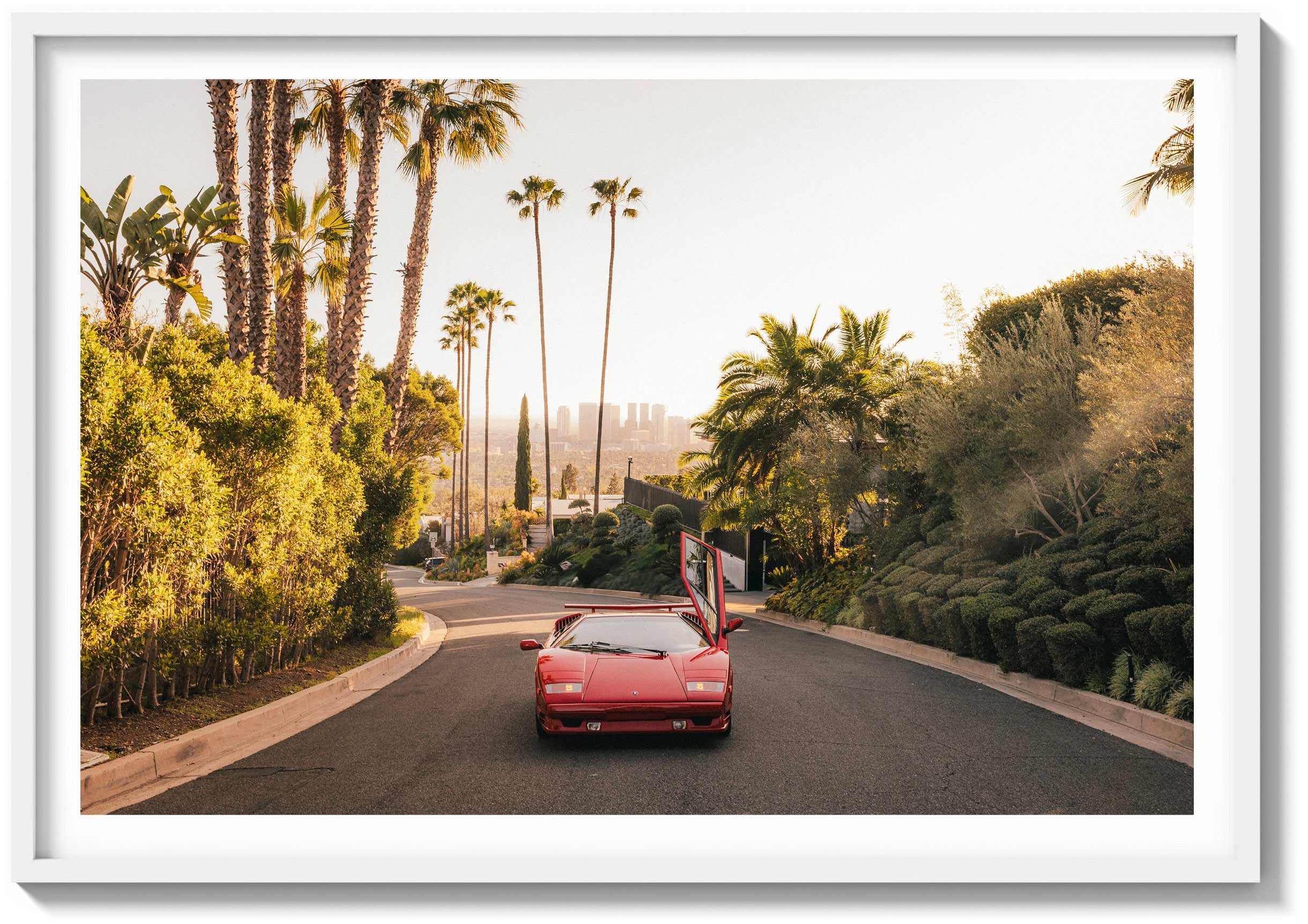 The Hills & The City Beyond