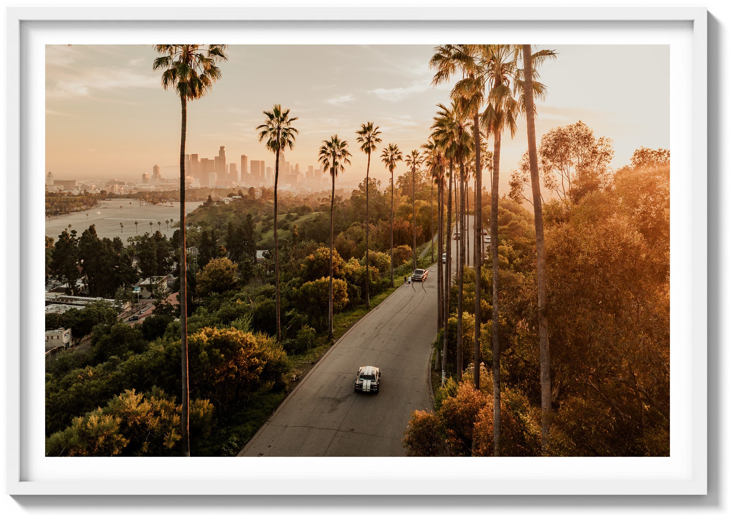 Dreaming of California