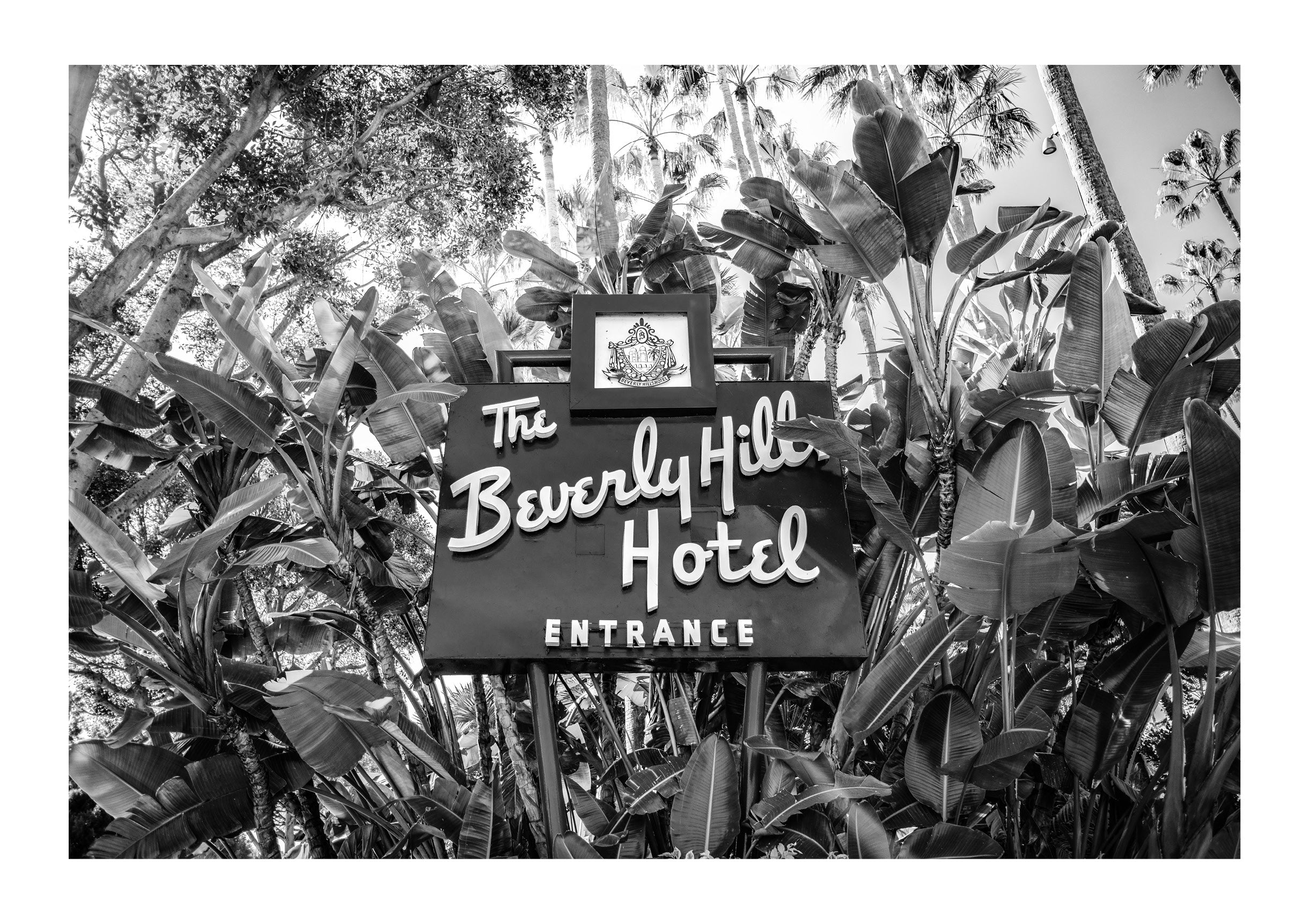 Beverly Hills Retreat