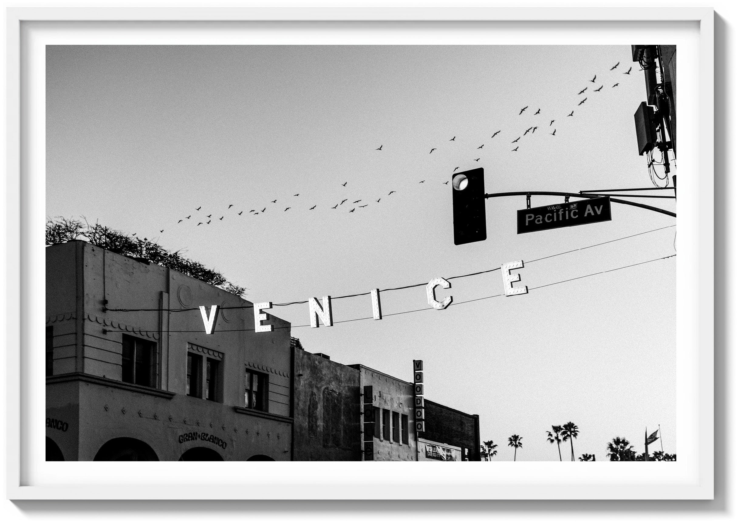 Dreaming of Venice