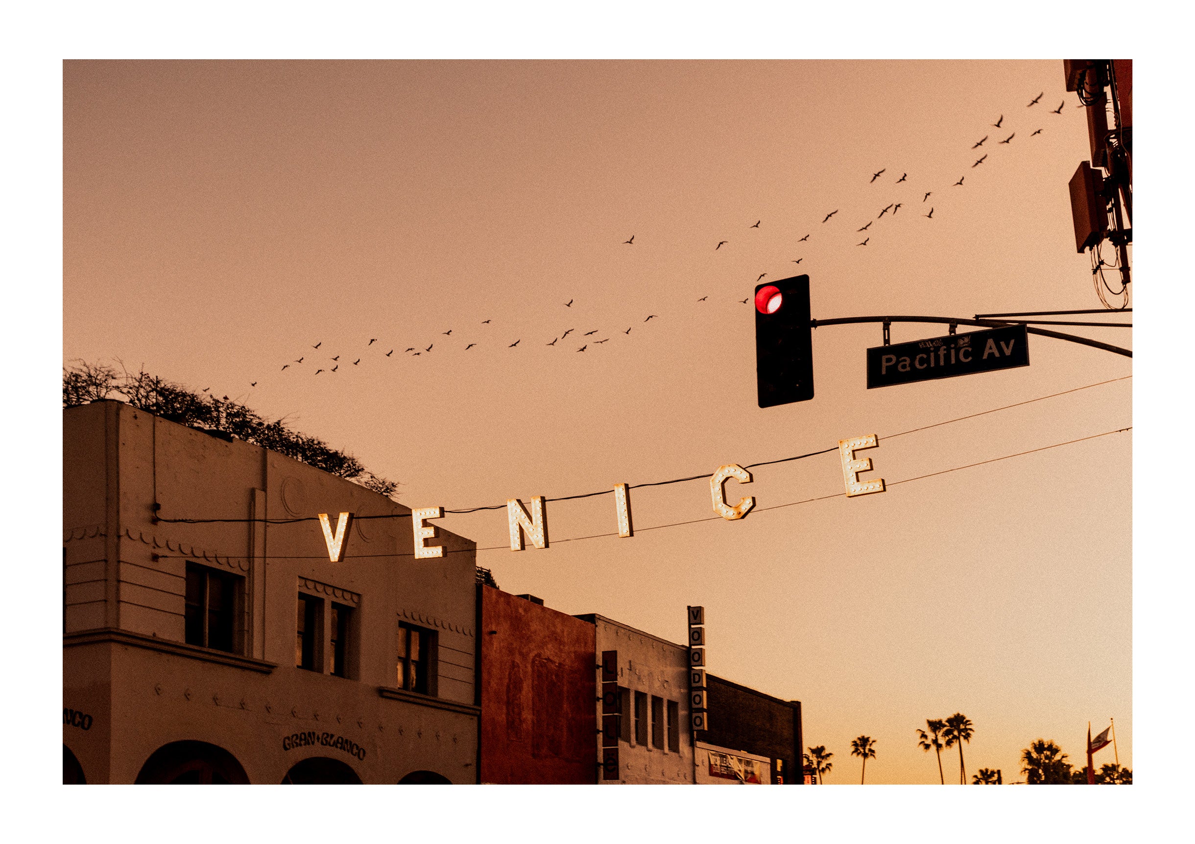 Dreaming of Venice