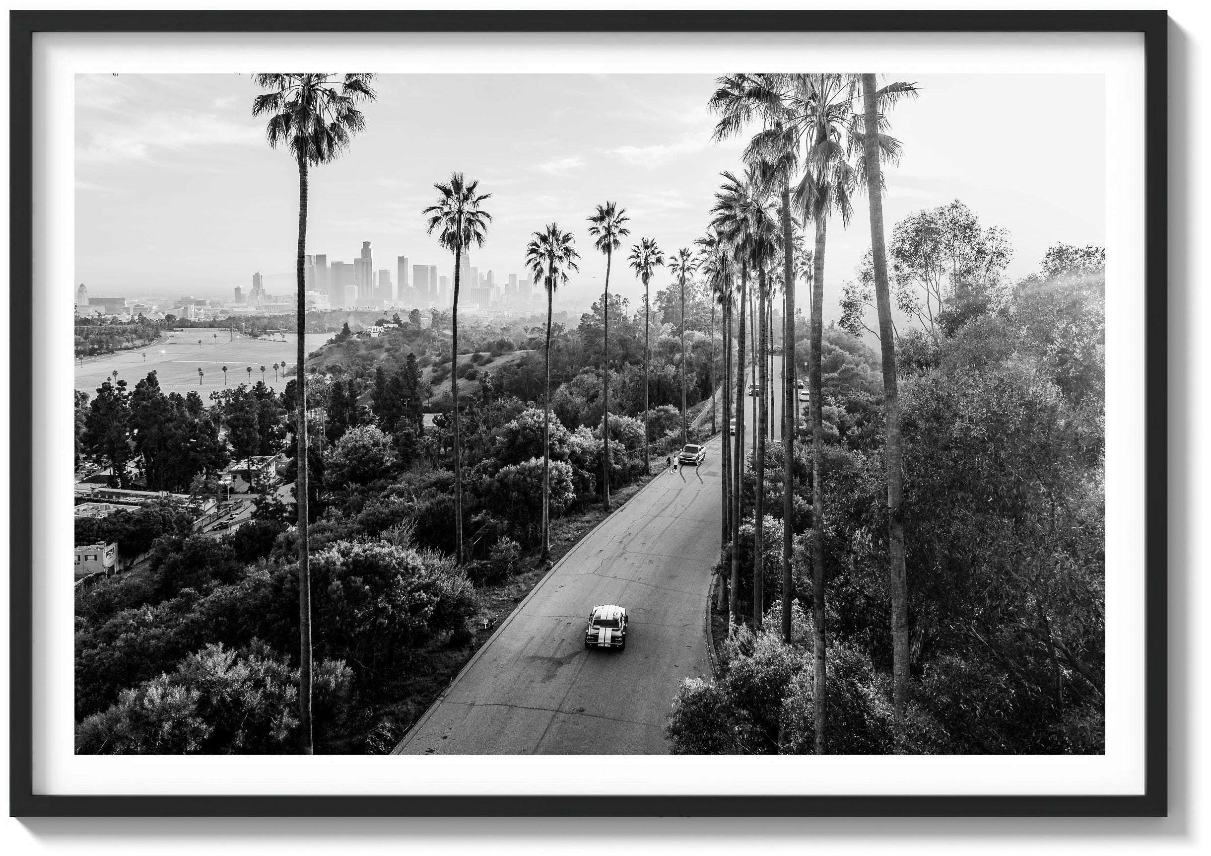 Dreaming of California