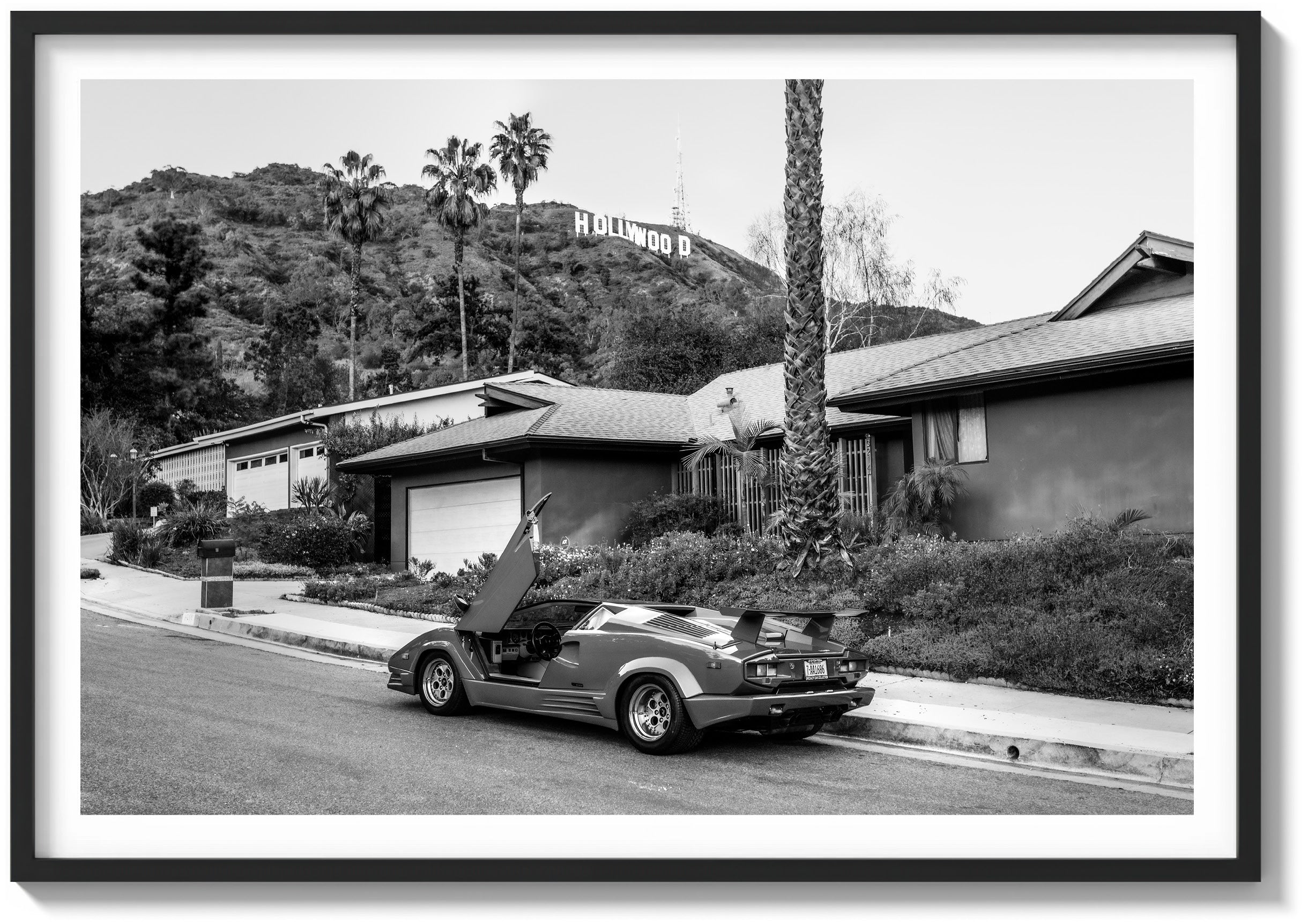 Hollywood Magic