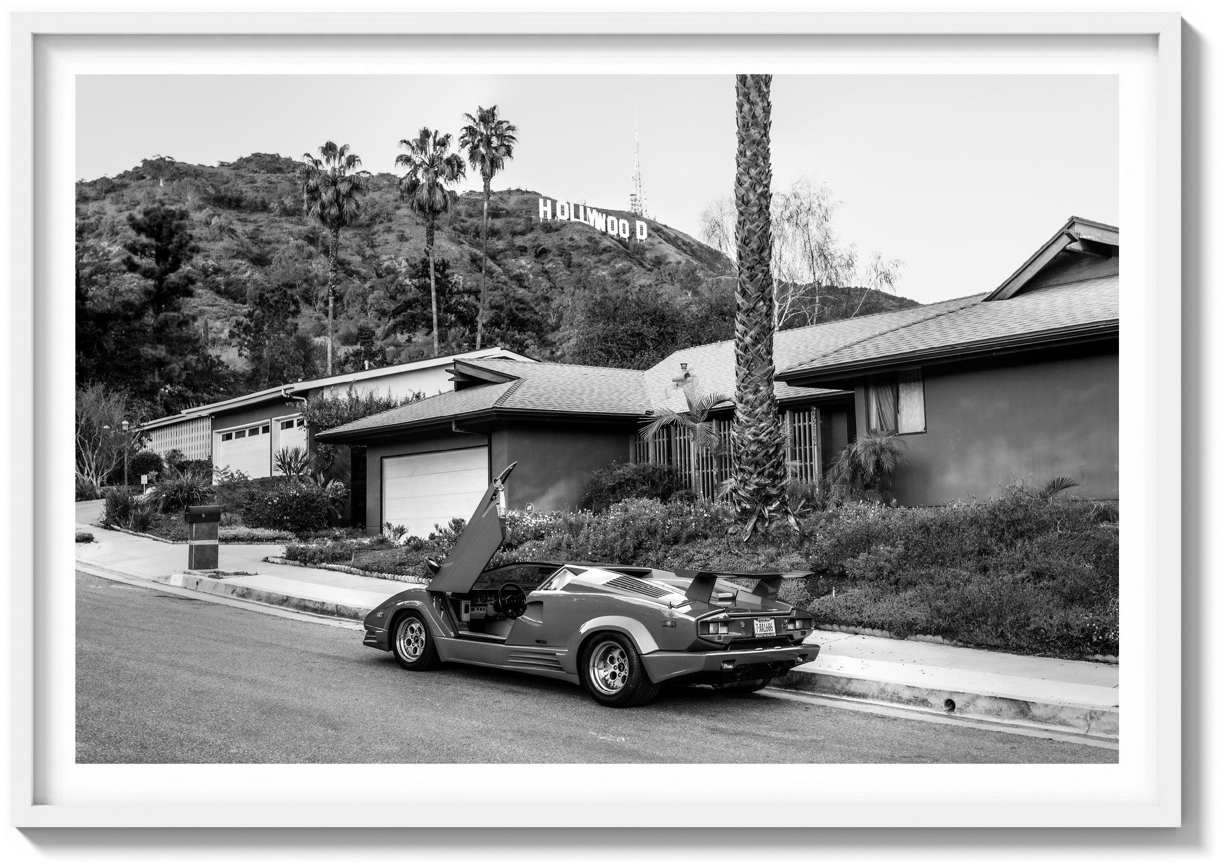 Hollywood Magic