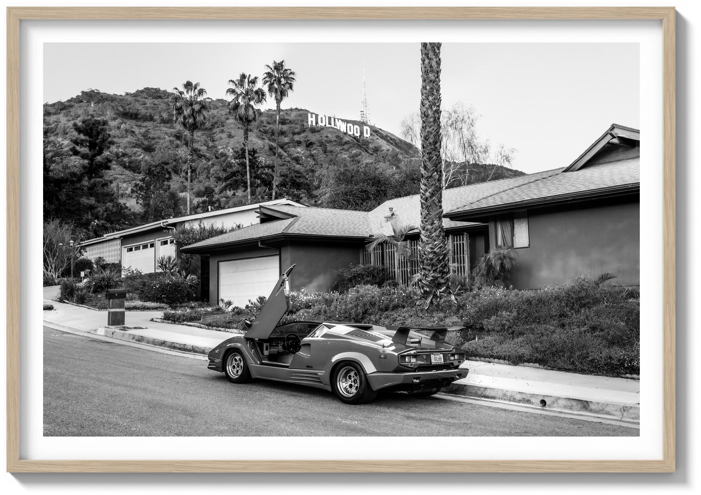 Hollywood Magic