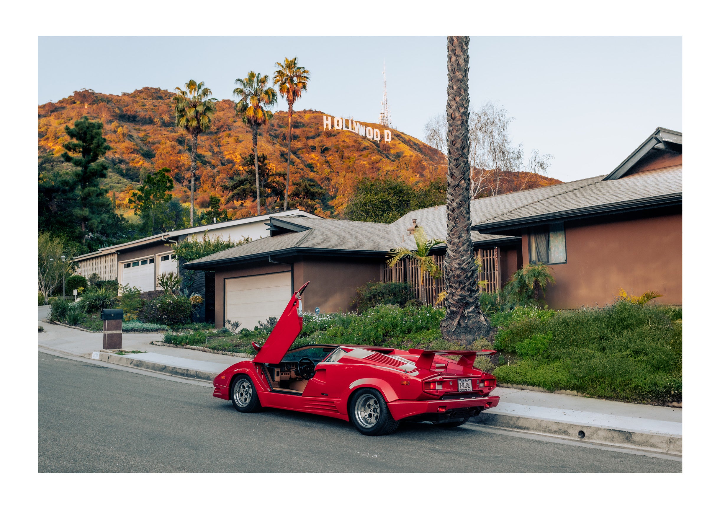 Hollywood Magic