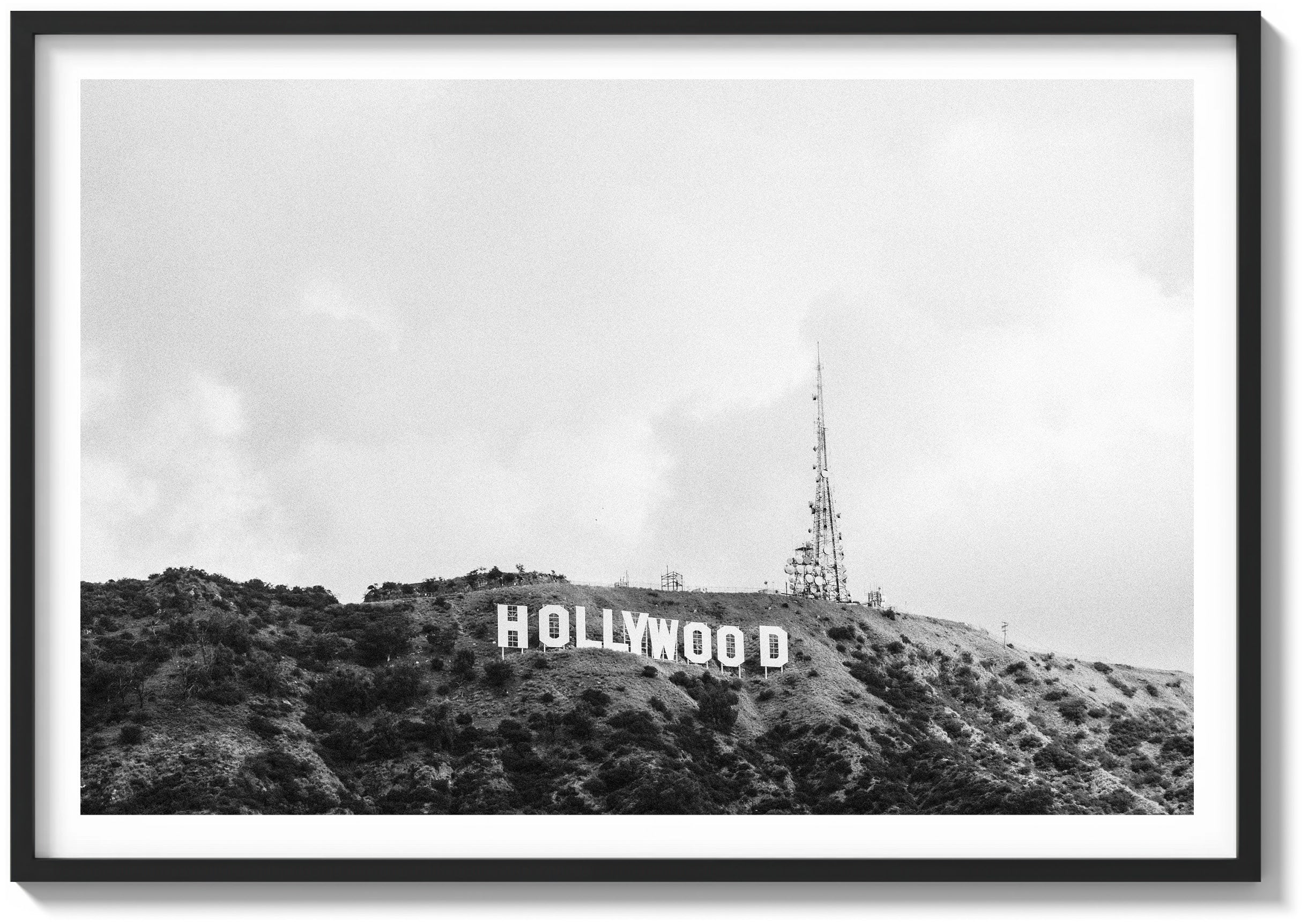 Hollywood Haze