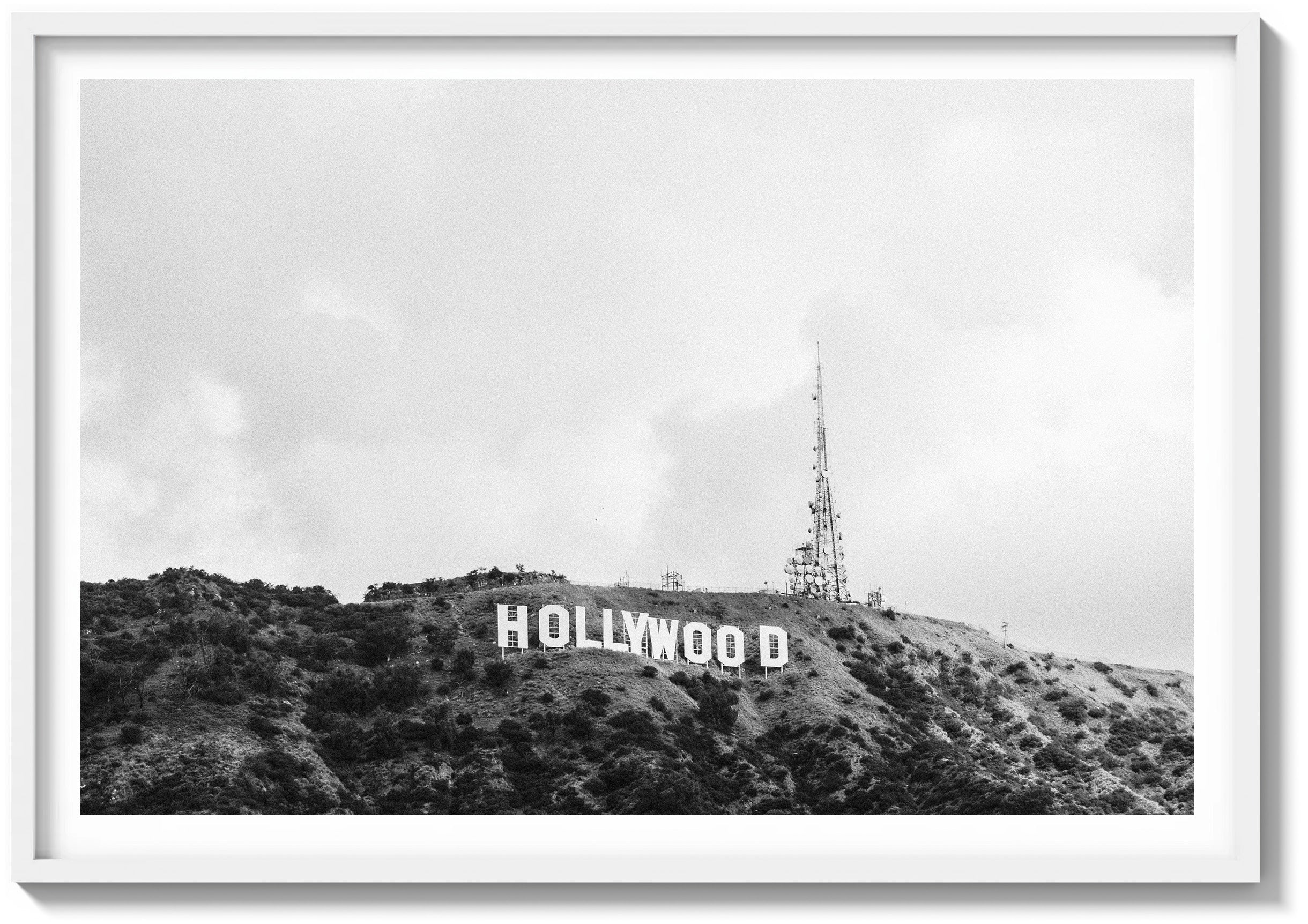Hollywood Haze