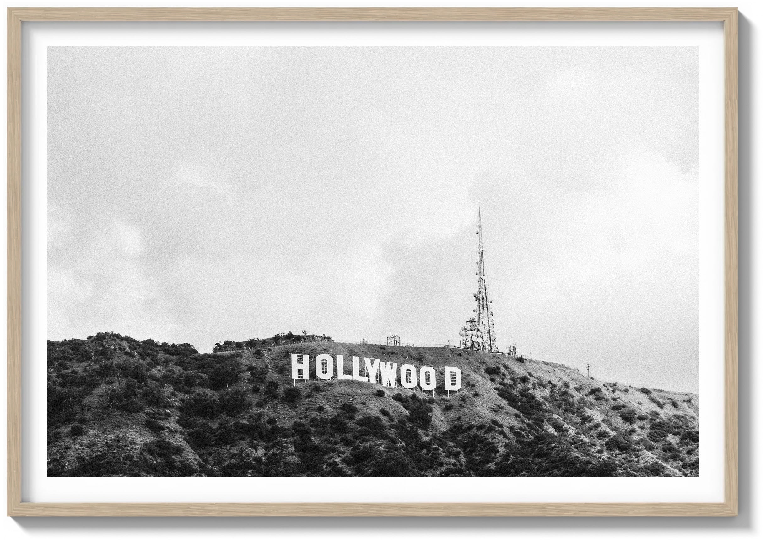 Hollywood Haze