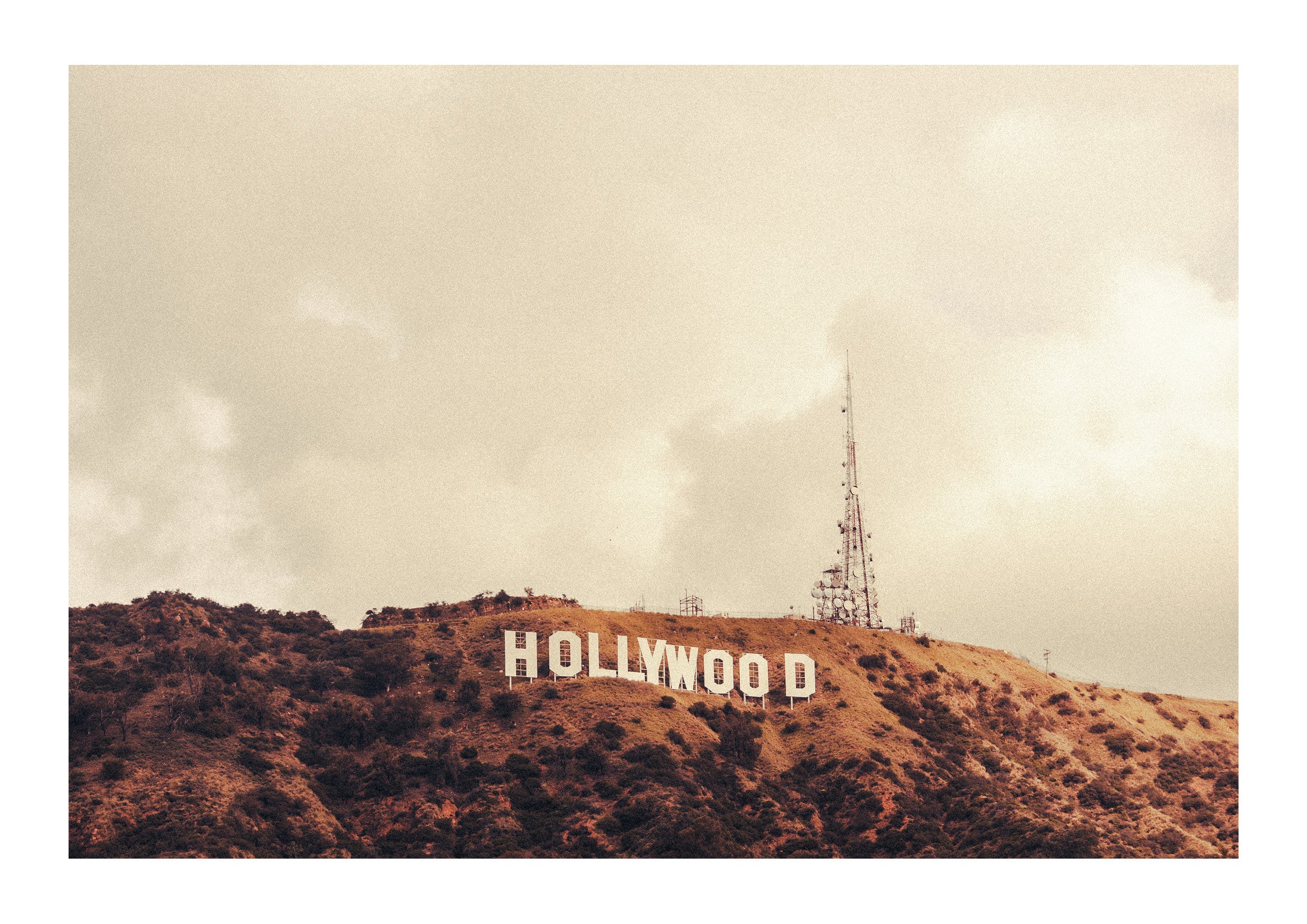 Hollywood Haze