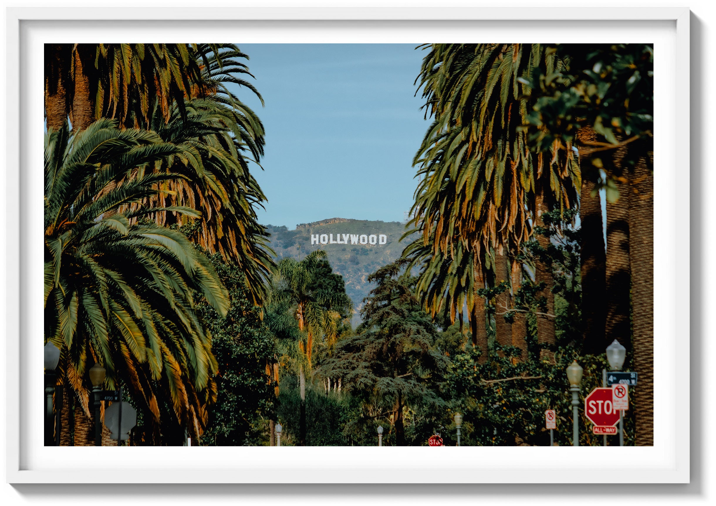 Palm View