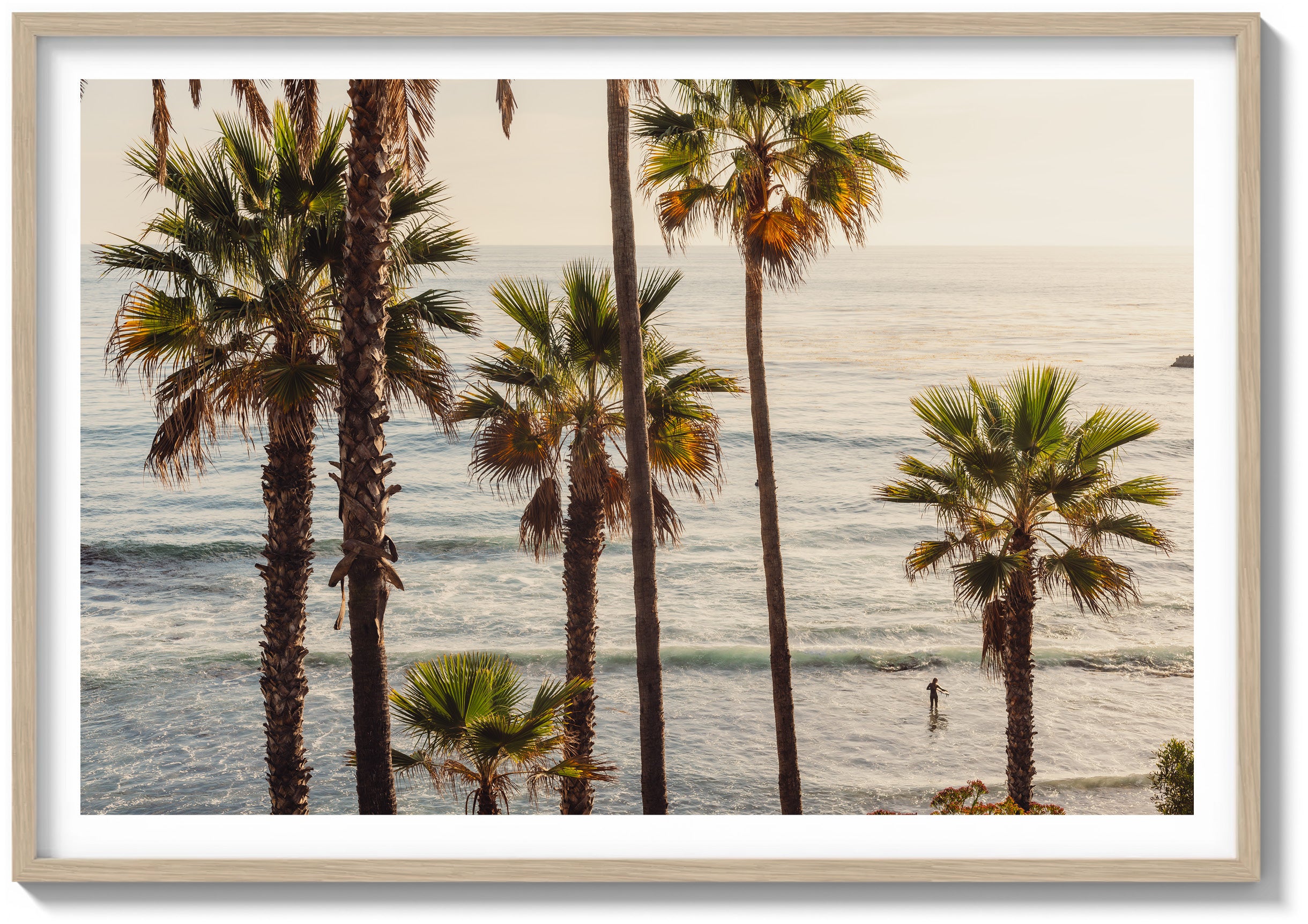 Laguna Surf