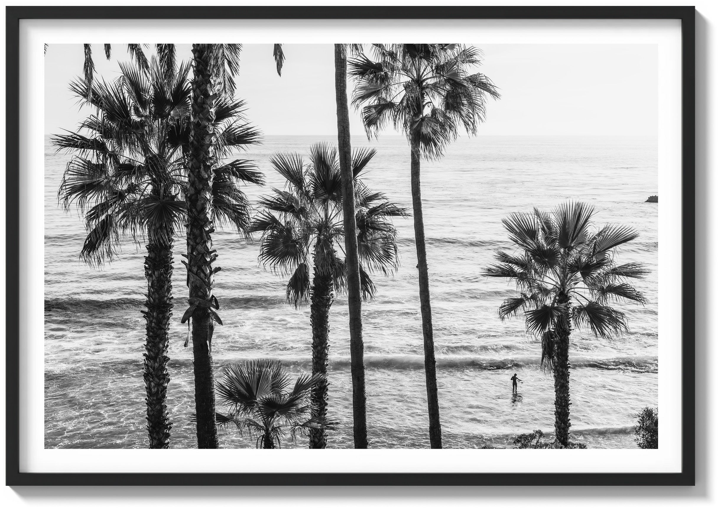 Laguna Surf