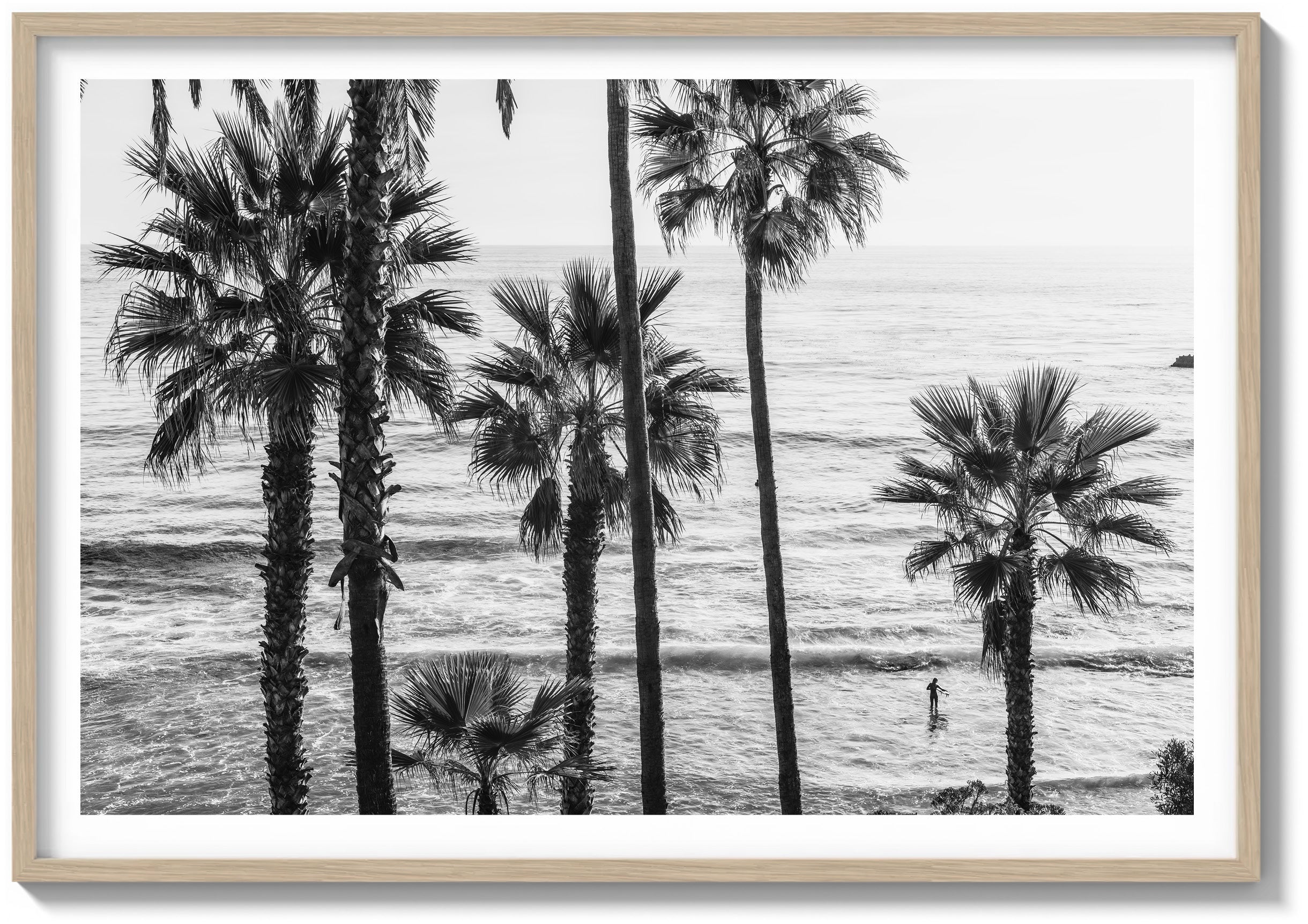 Laguna Surf