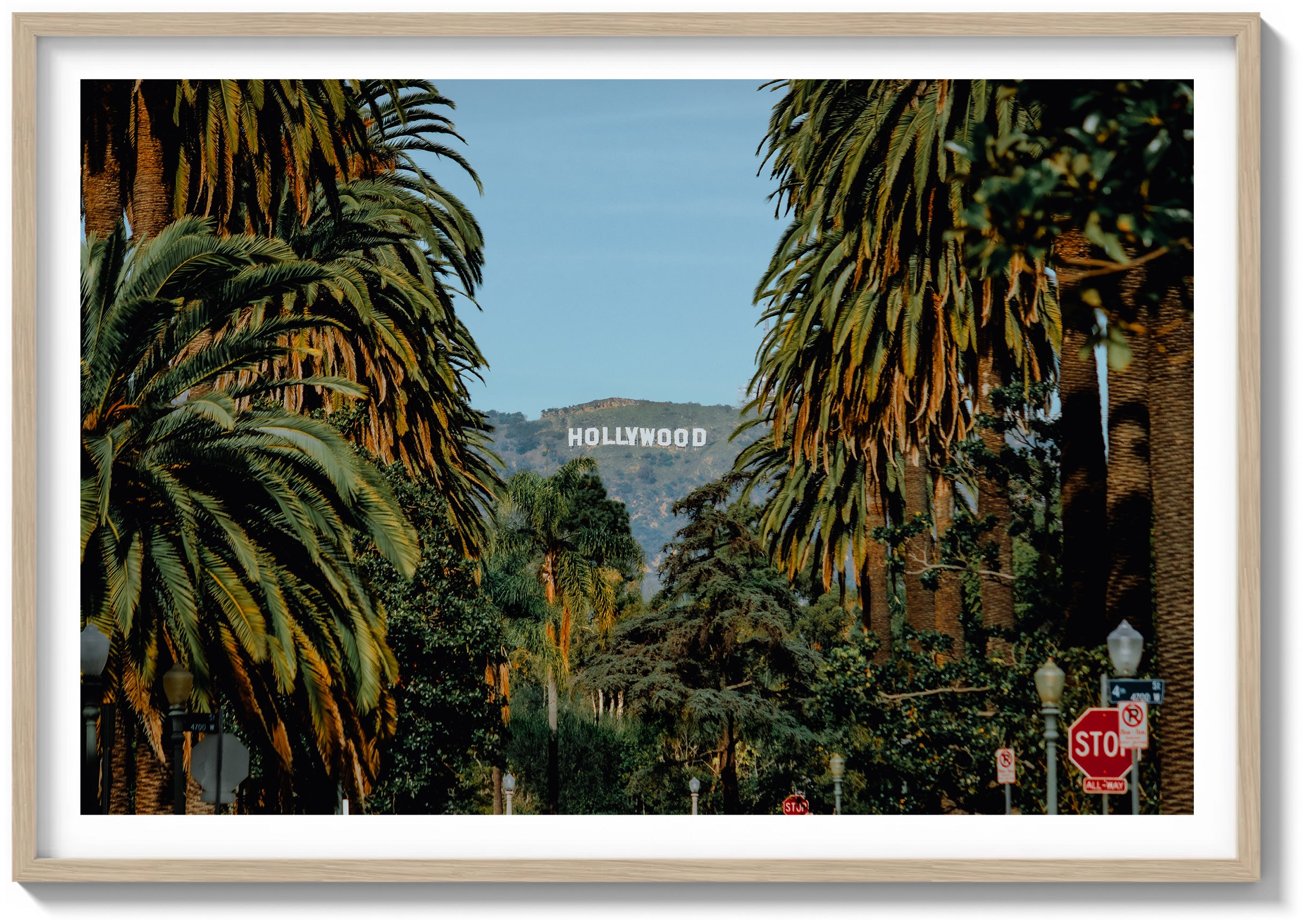 Palm View