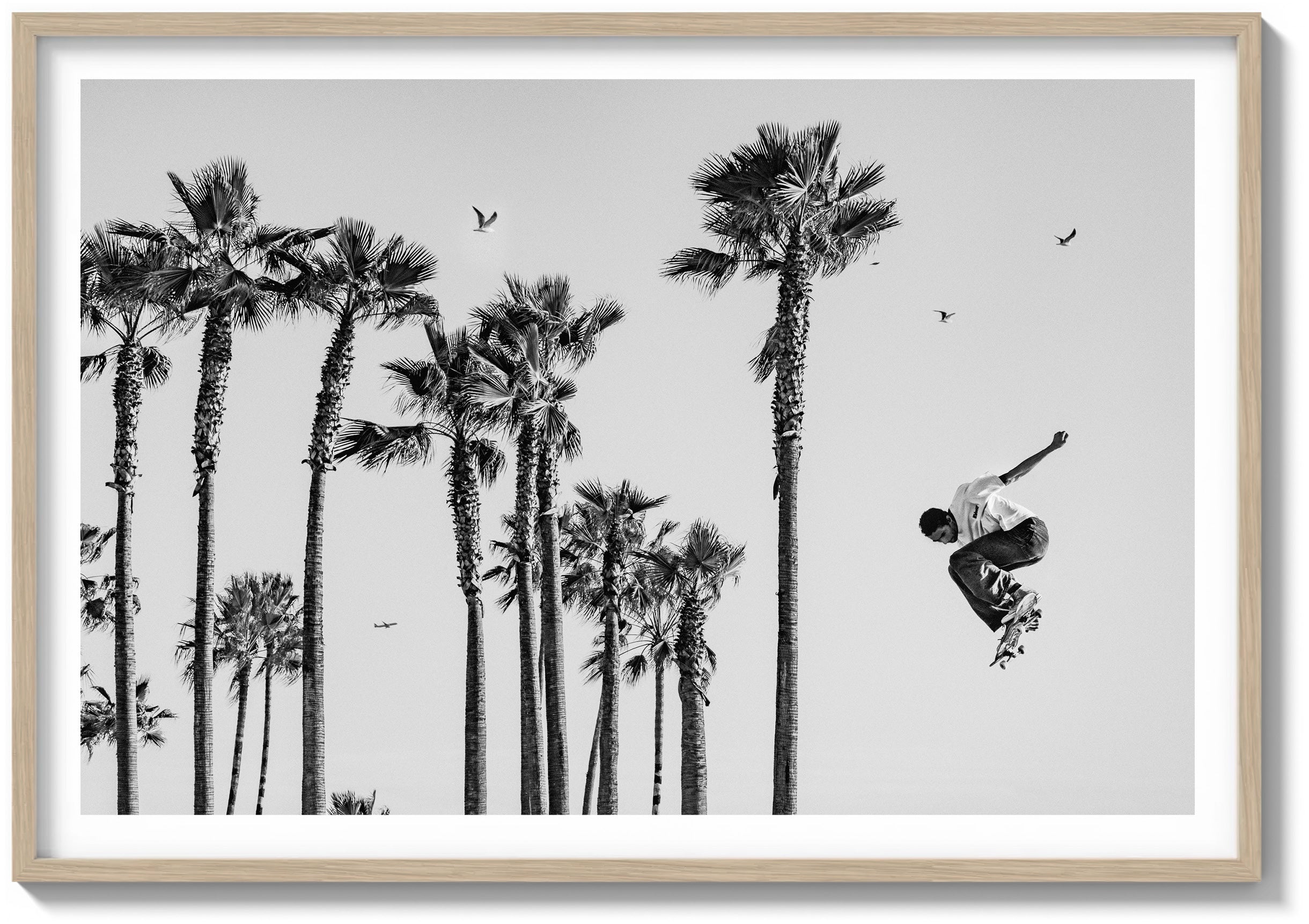 Flight In The Palms