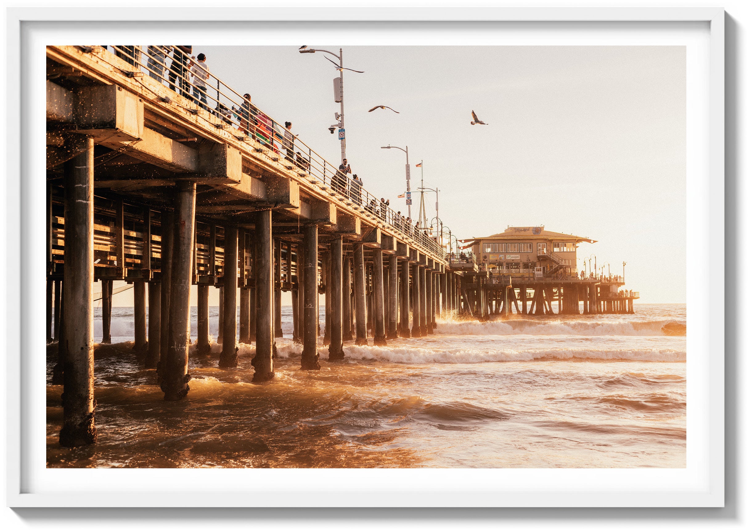 The Pier & The Ocean