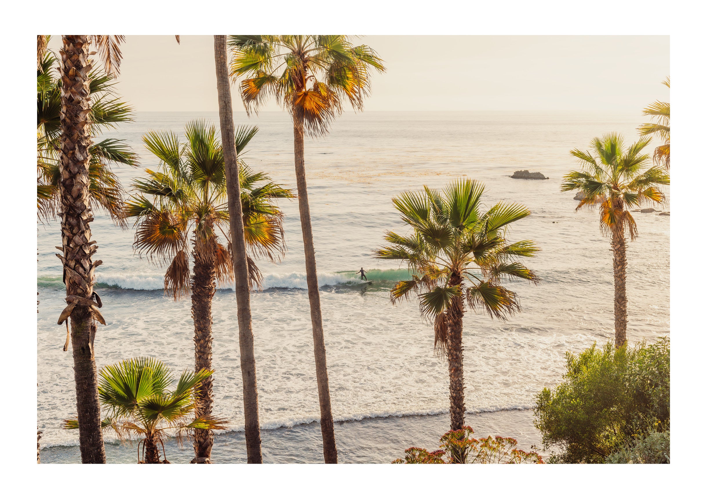 Laguna Horizon