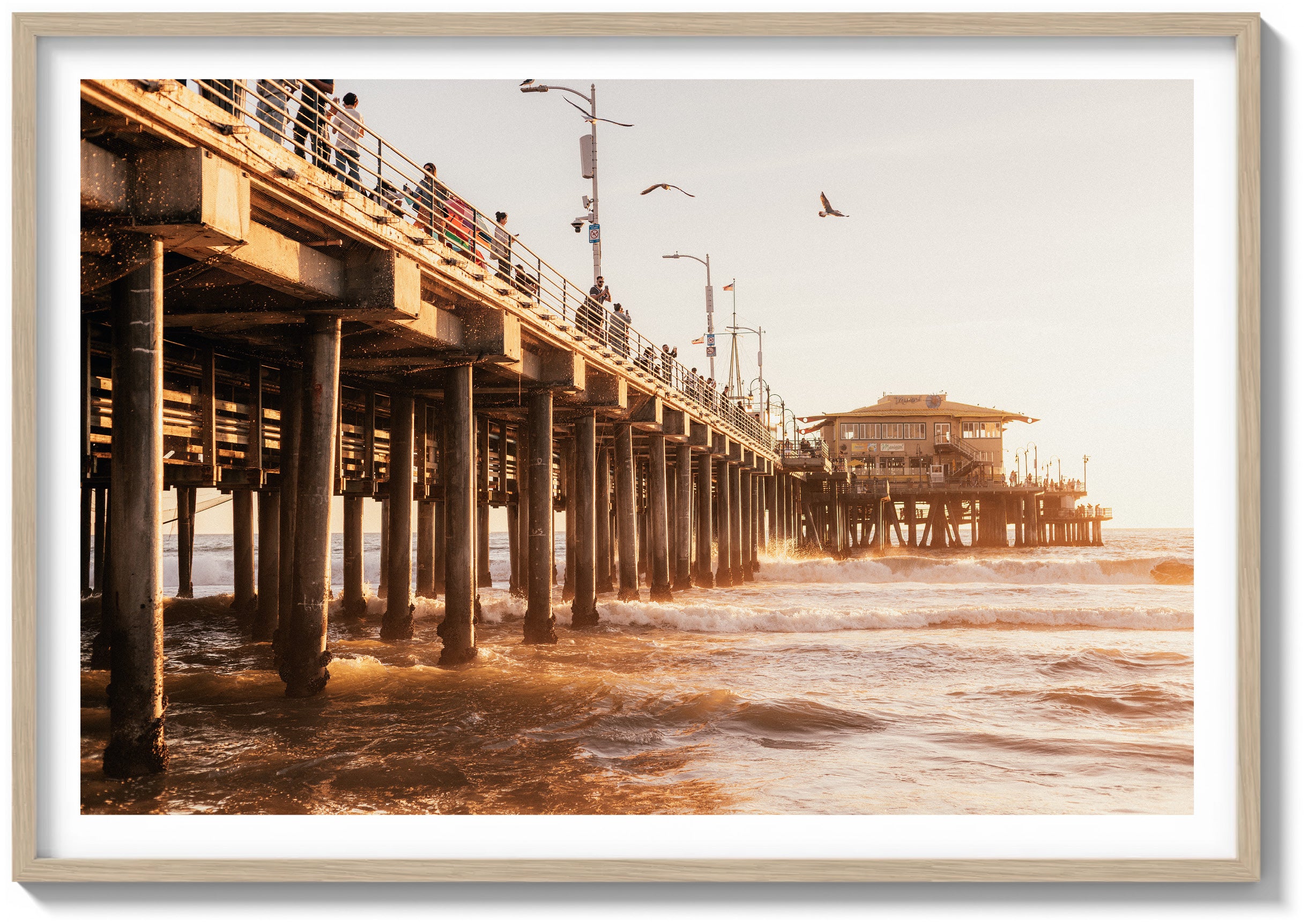 The Pier & The Ocean