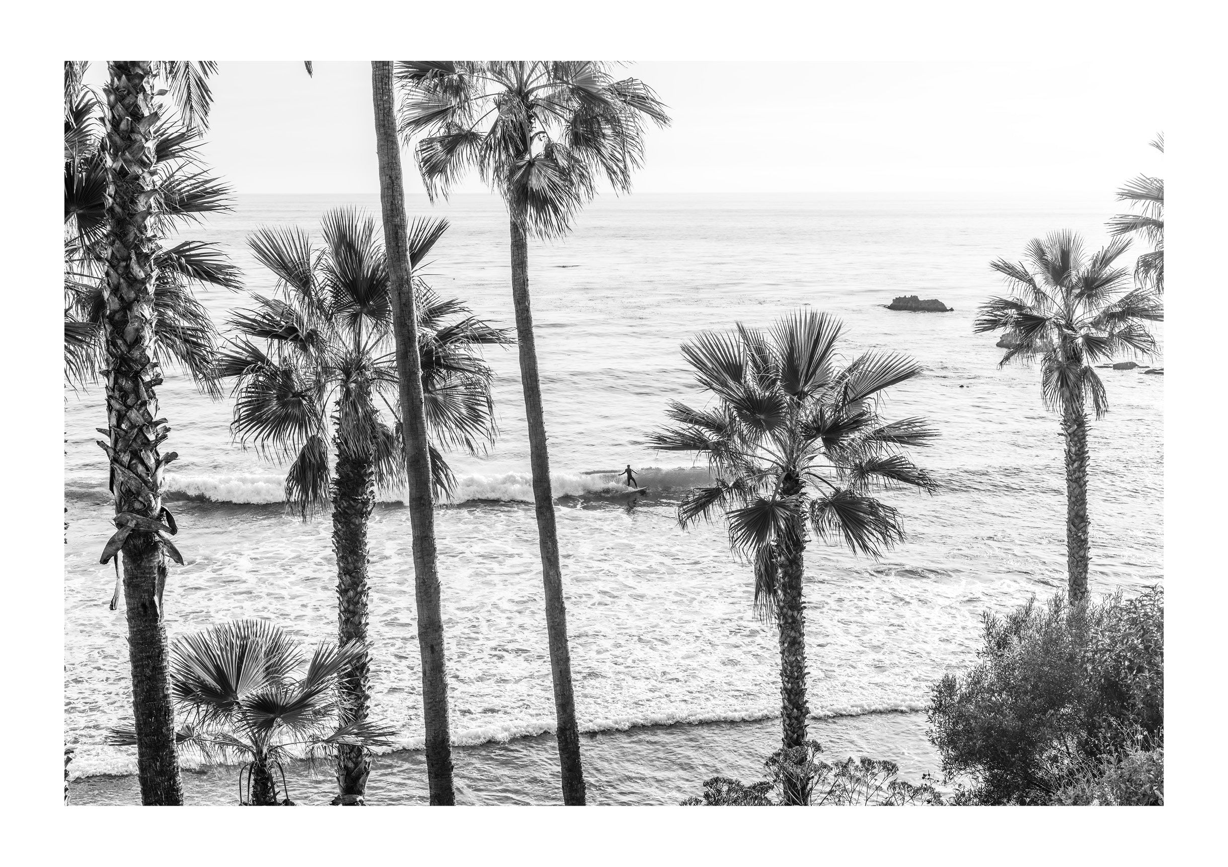 Laguna Horizon