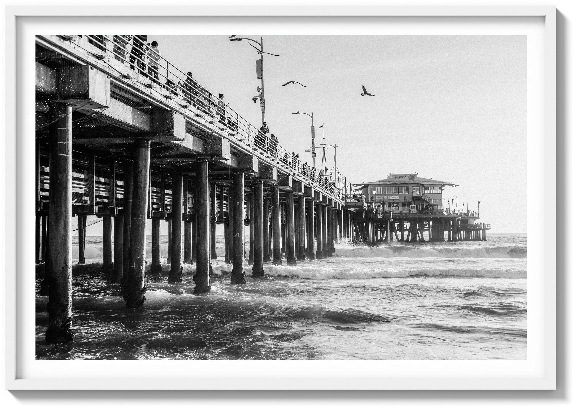 The Pier & The Ocean