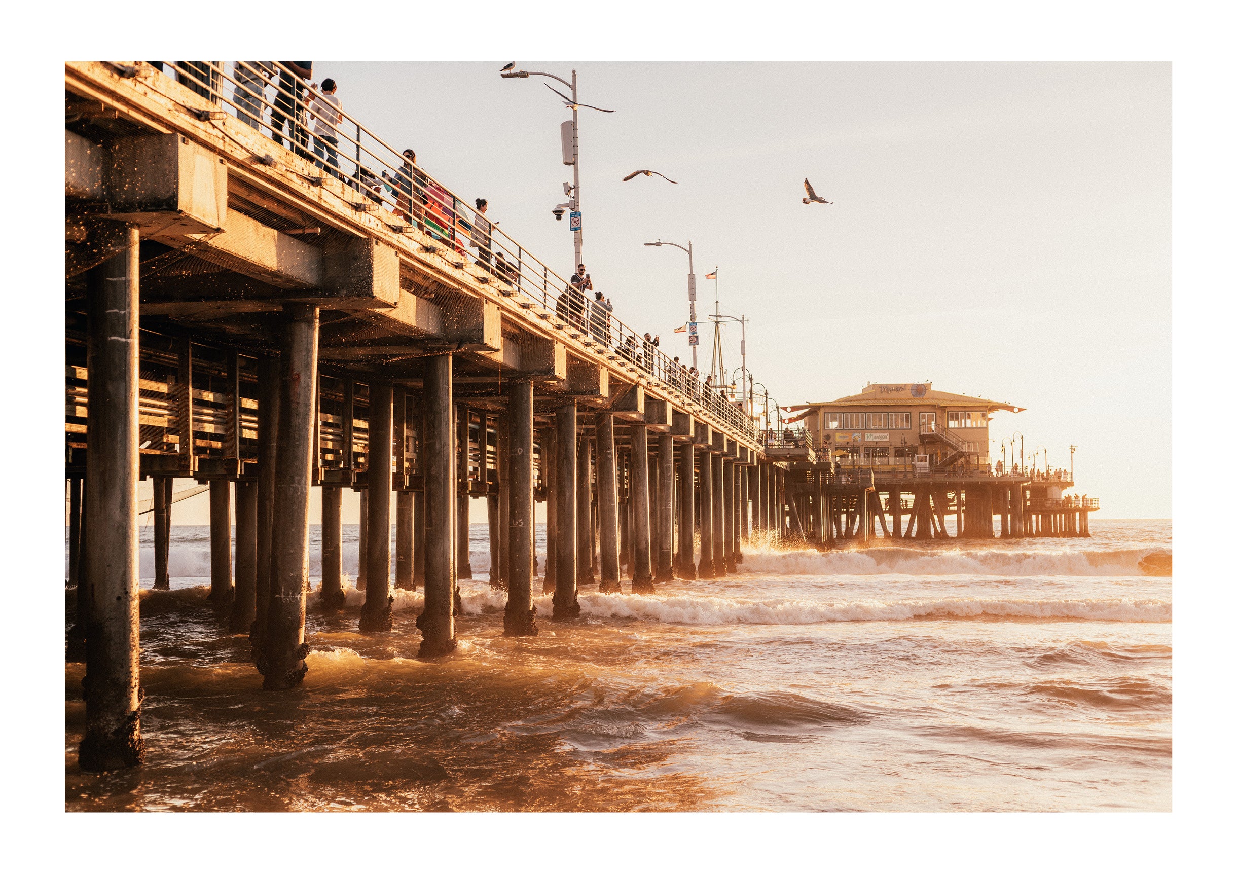 The Pier & The Ocean