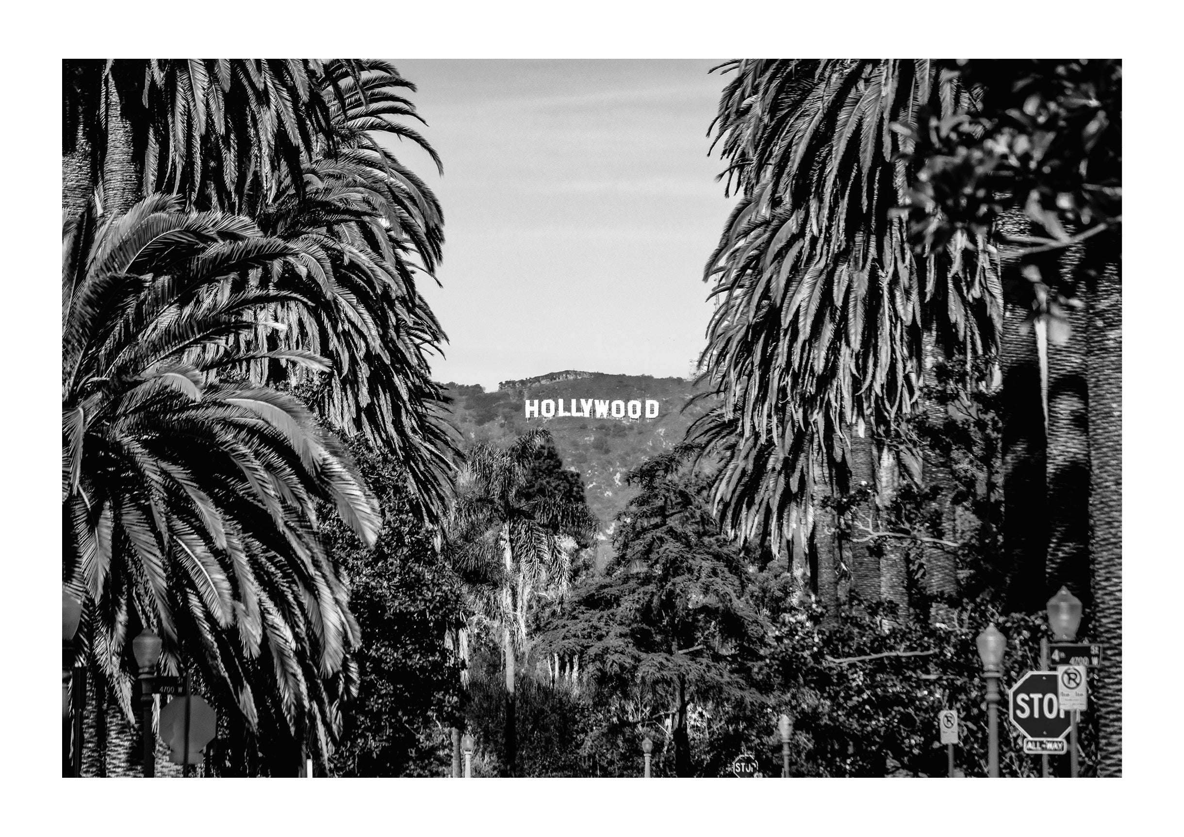 Palm View