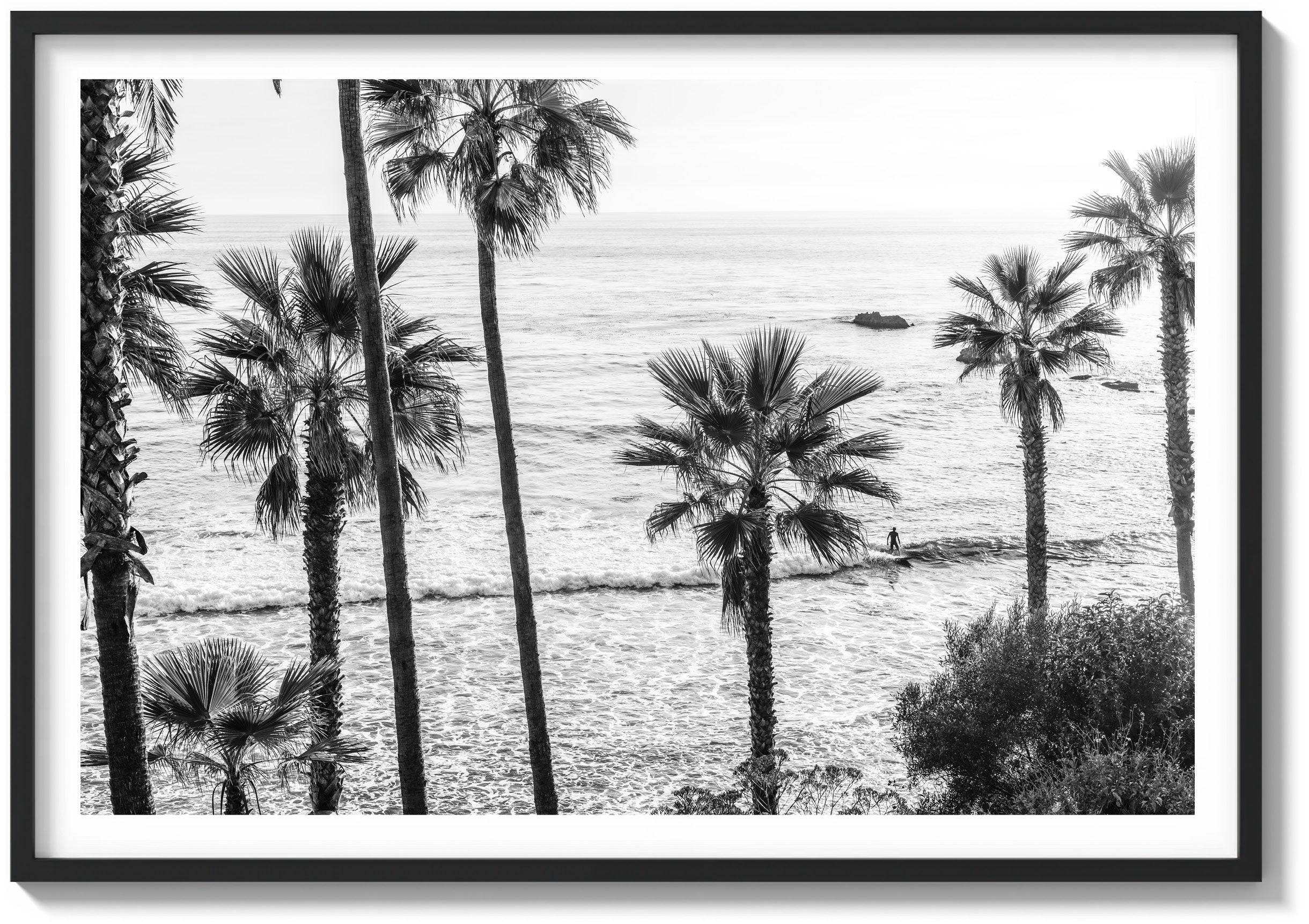 Sunlit Tide, Laguna