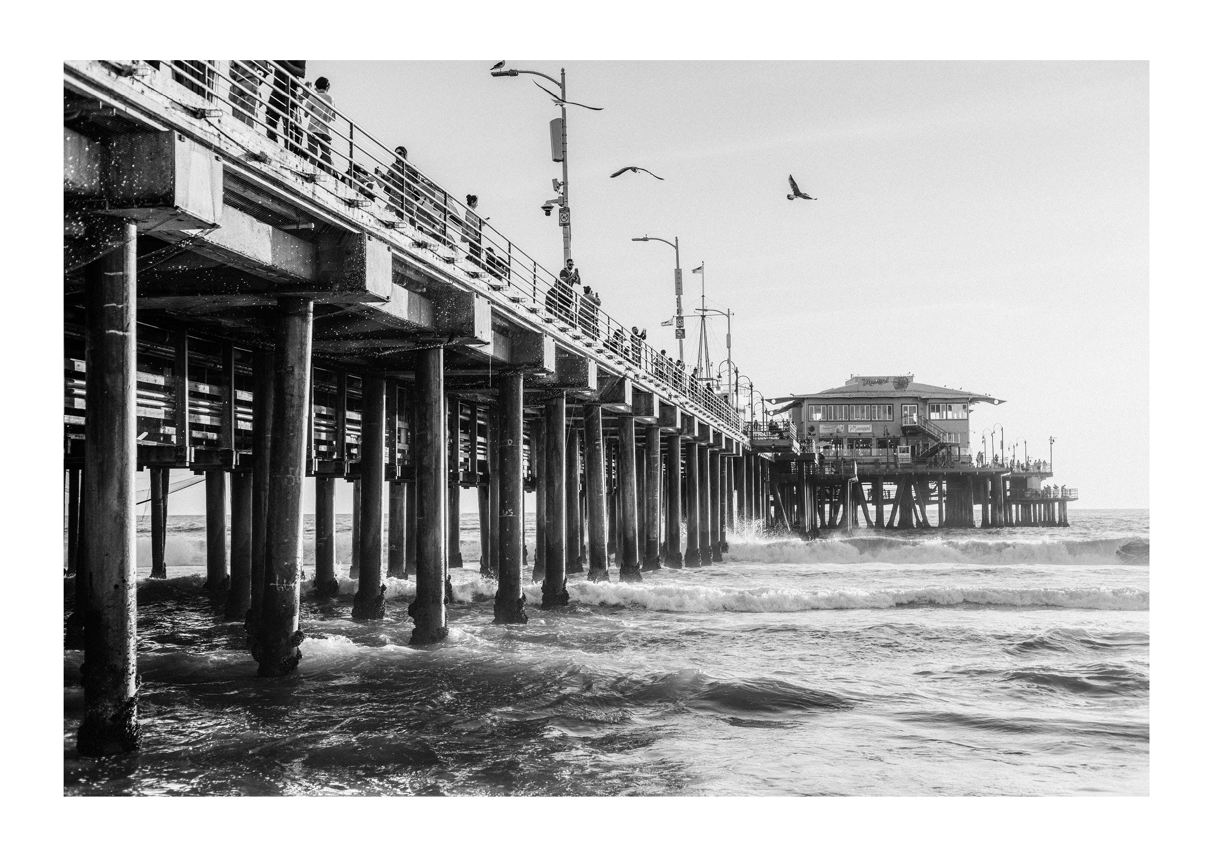 The Pier & The Ocean