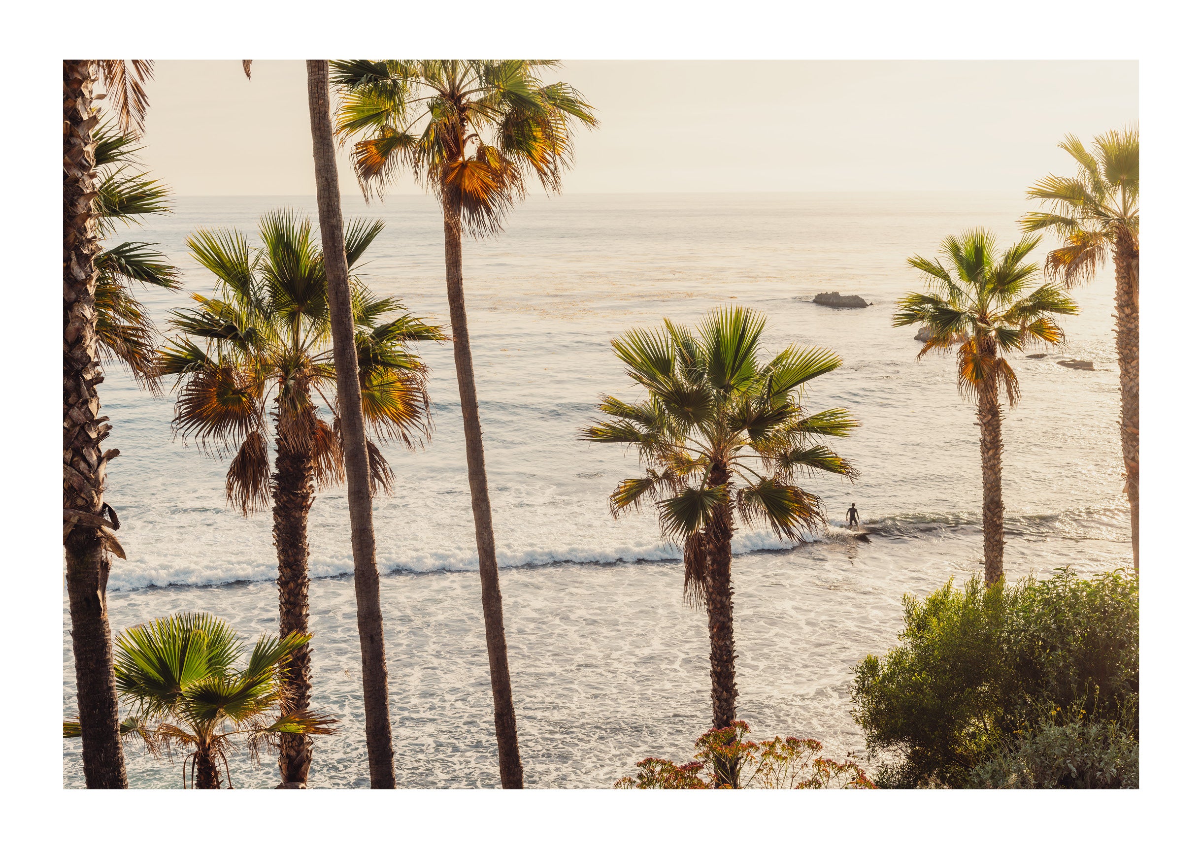 Sunlit Tide, Laguna