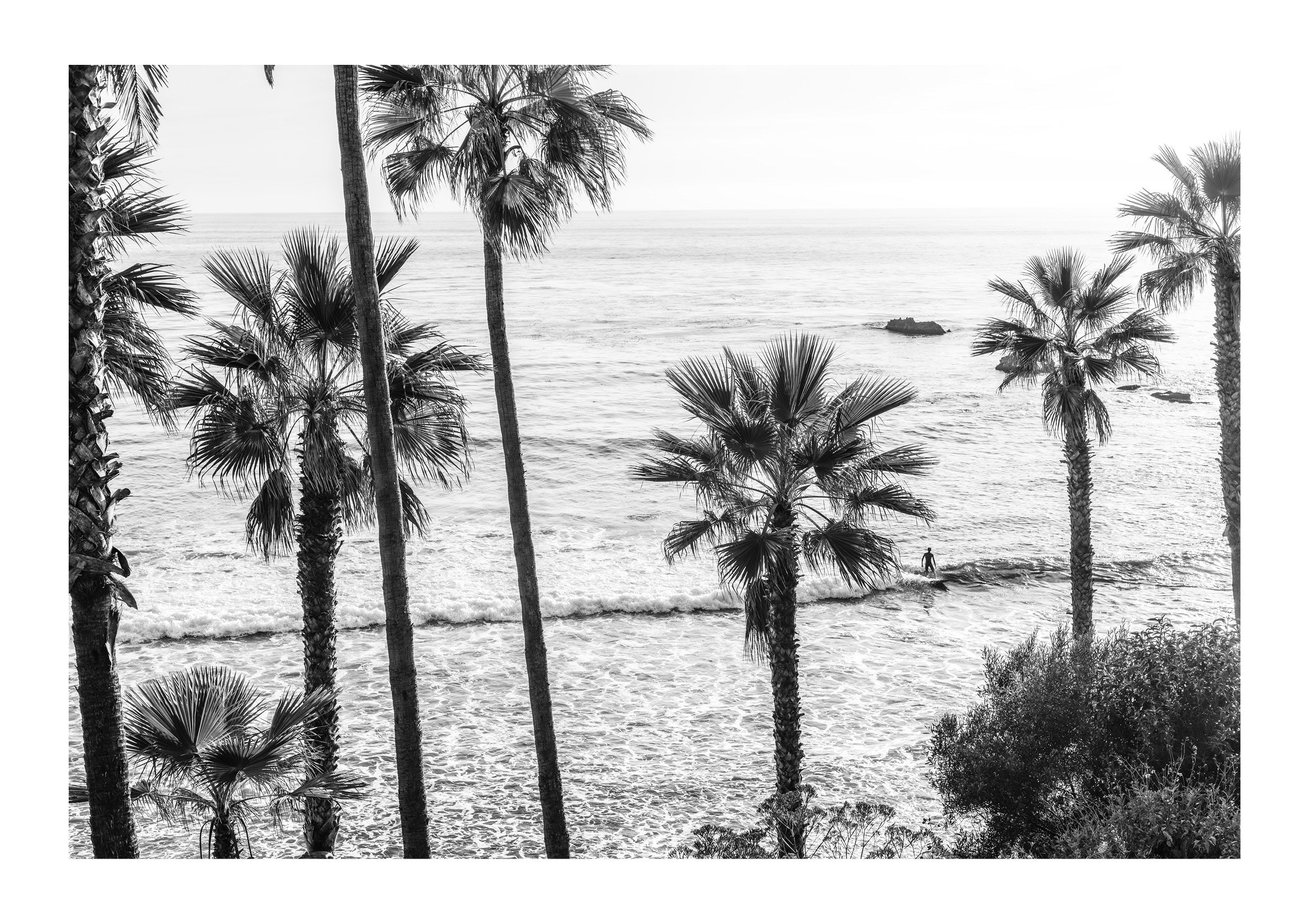 Sunlit Tide, Laguna