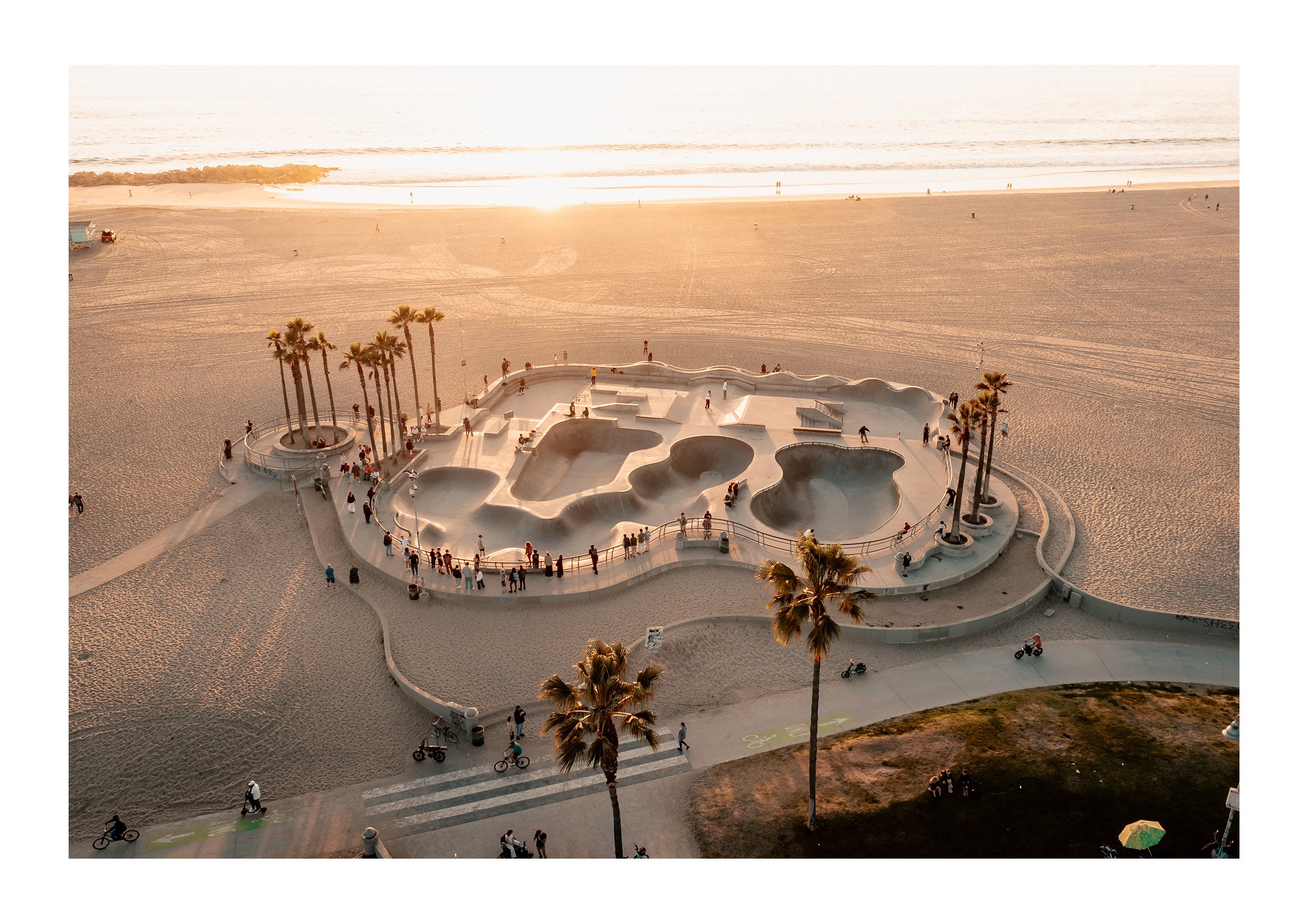 Skateboard Heaven