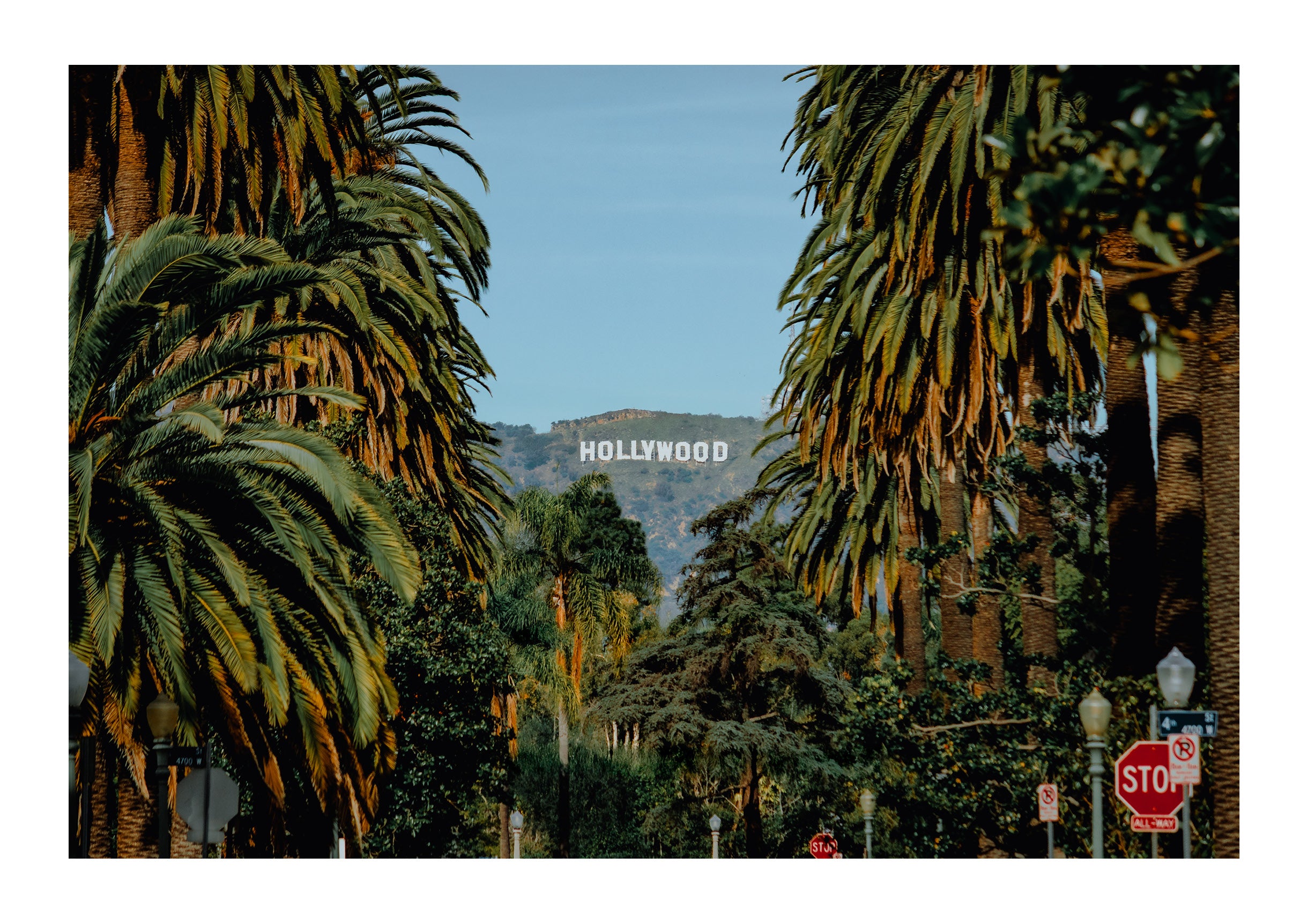 Palm View