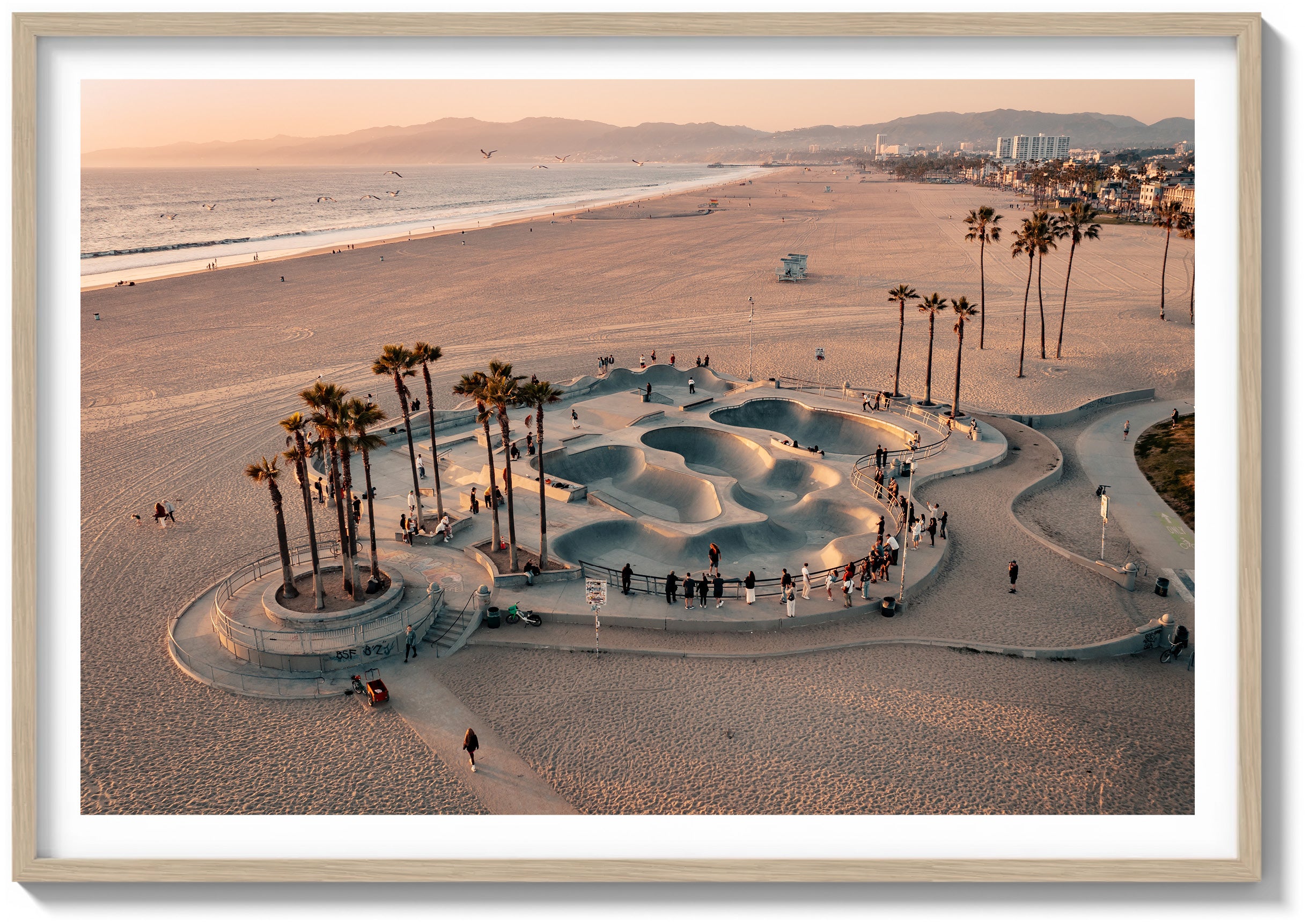 Skater's Paradise