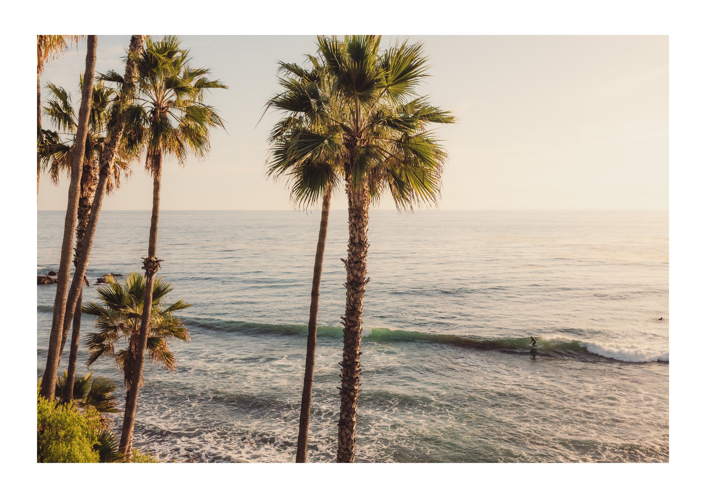 Rhythm of the Waves