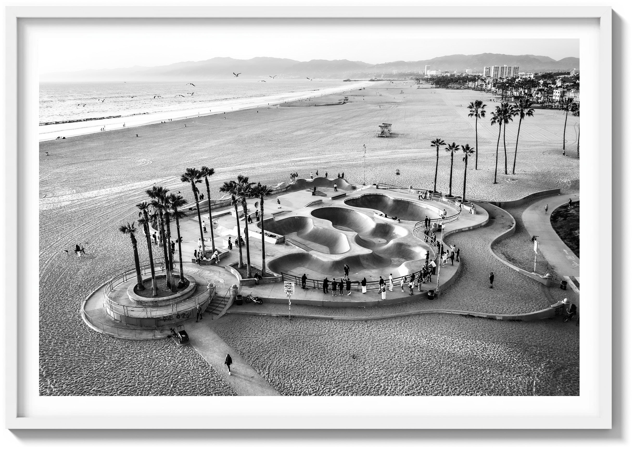 Skater's Paradise