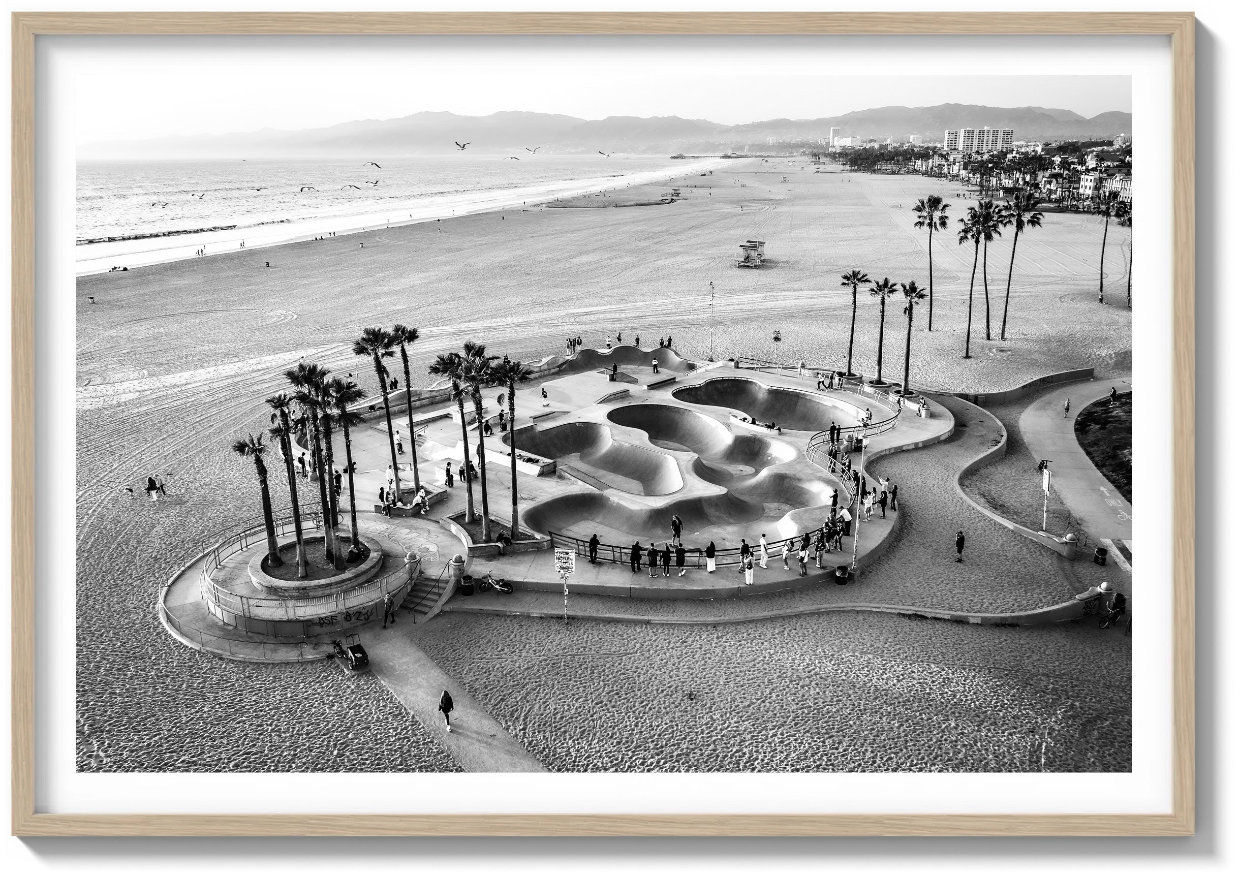 Skater's Paradise