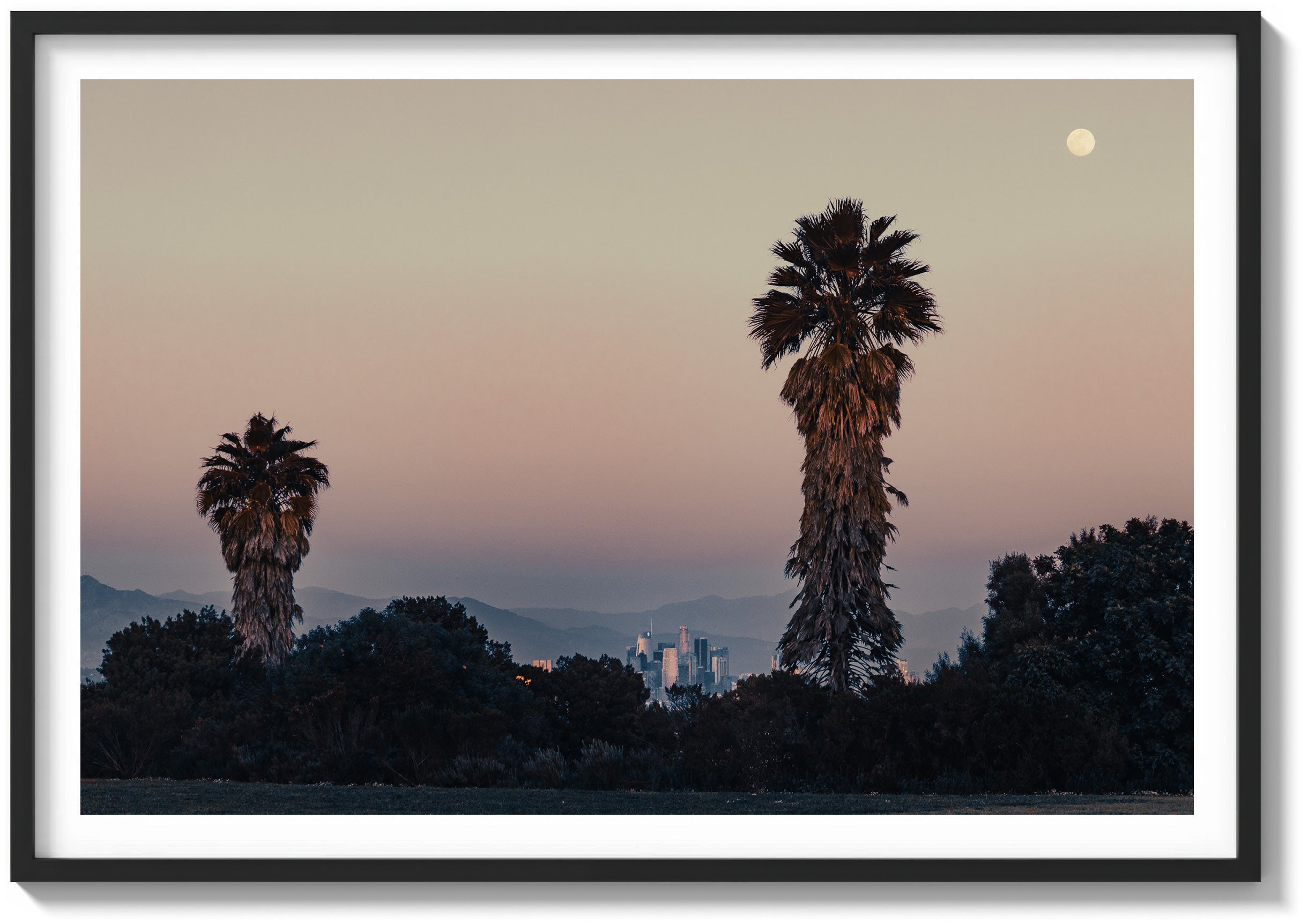 Park Palms