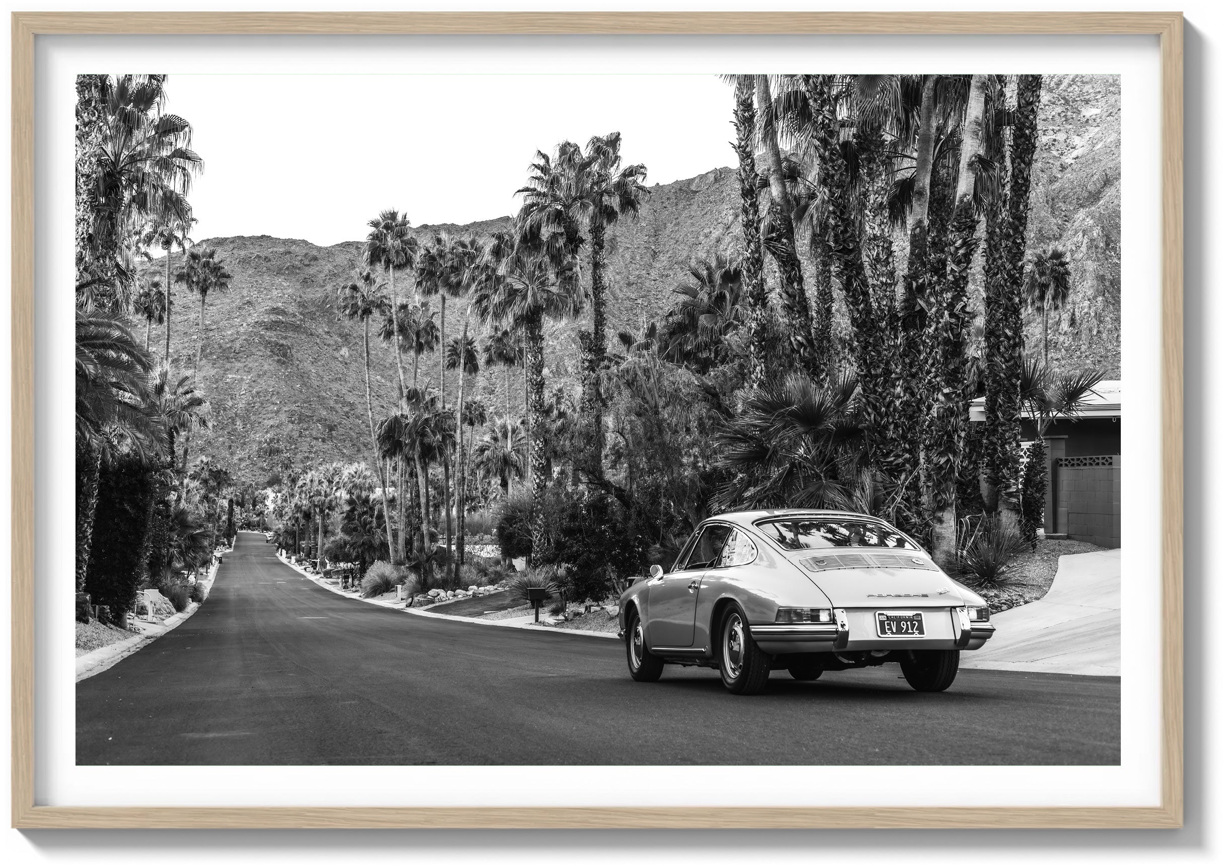 Palm Springs Charge