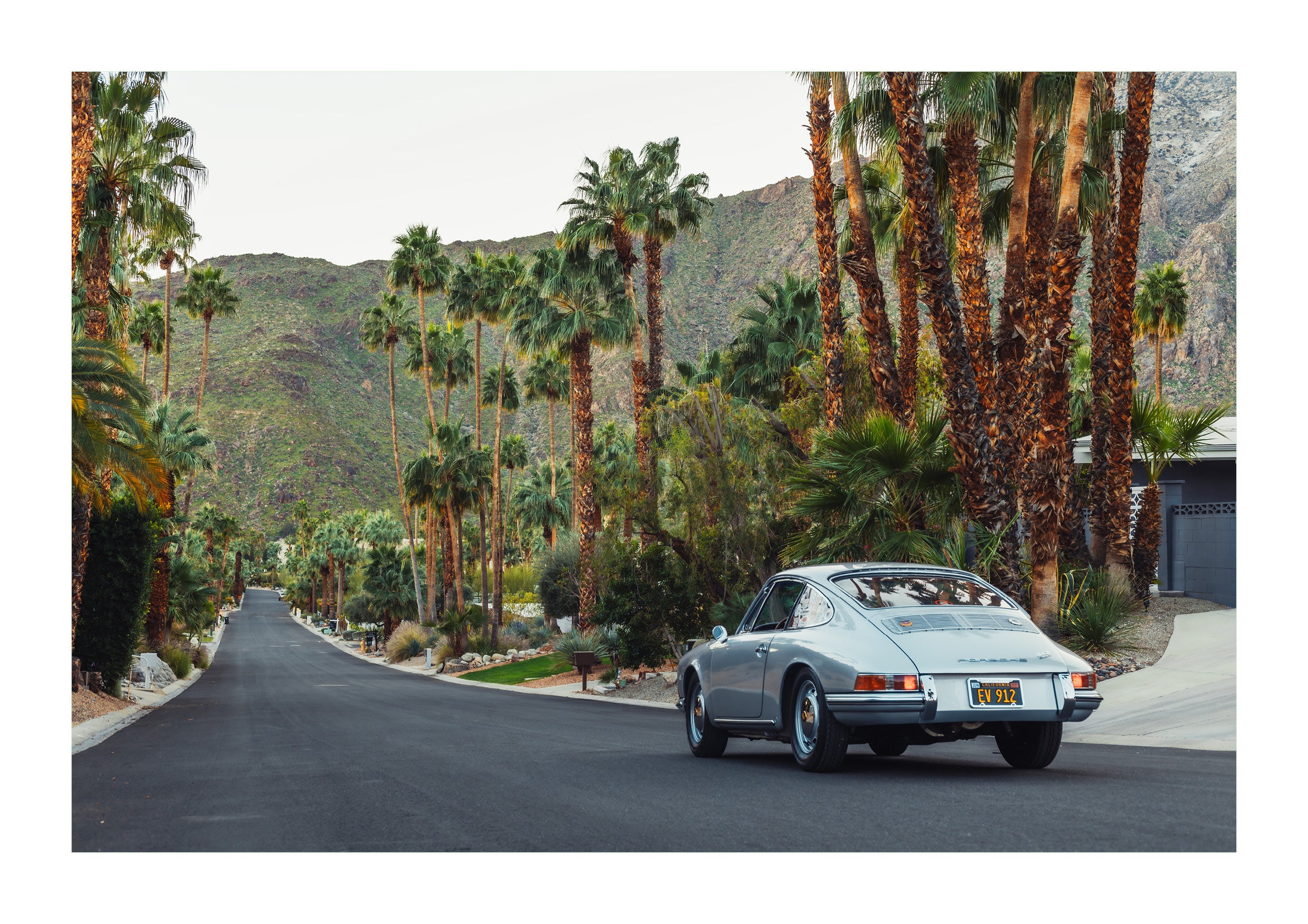 Palm Springs Charge
