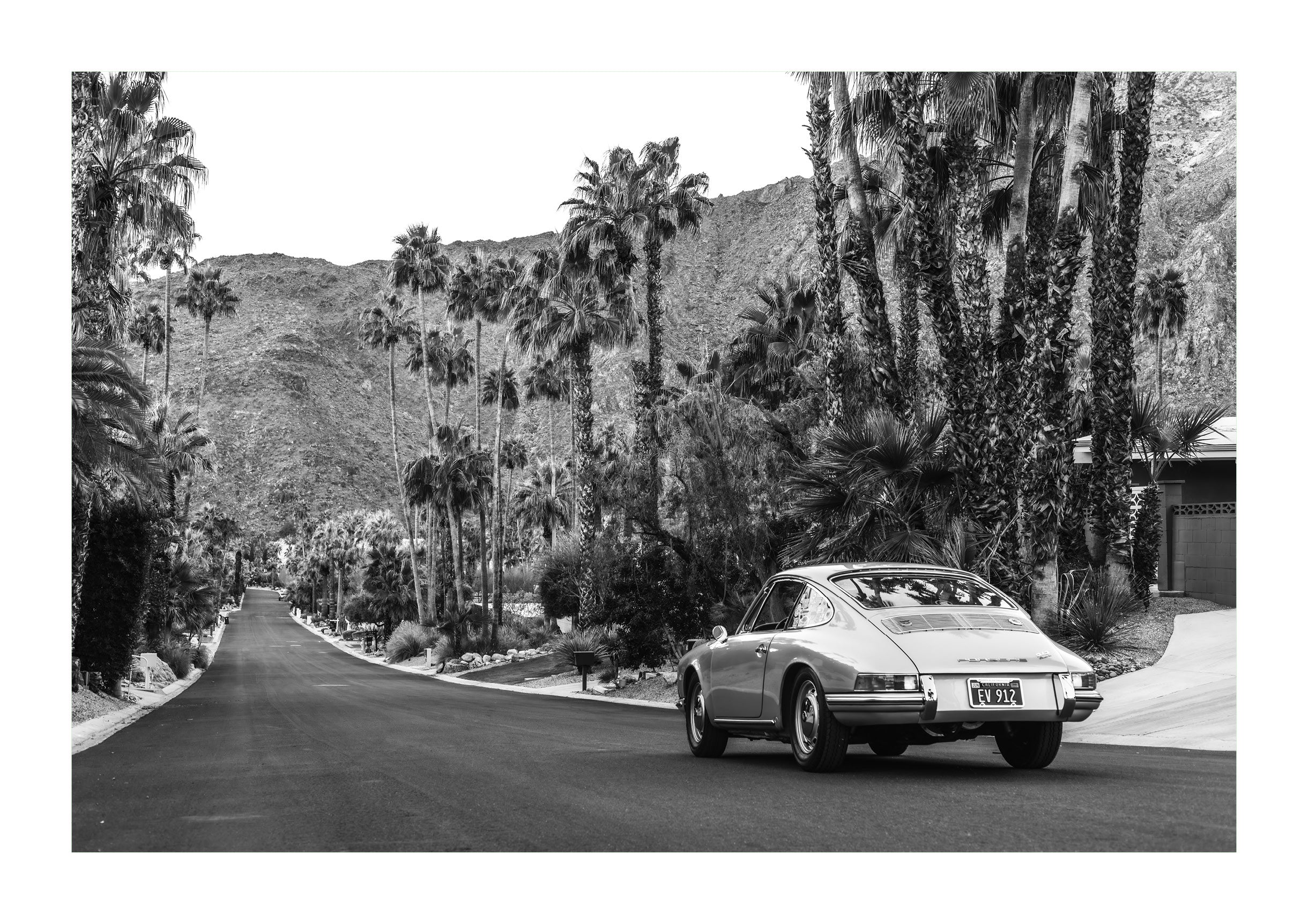 Palm Springs Charge