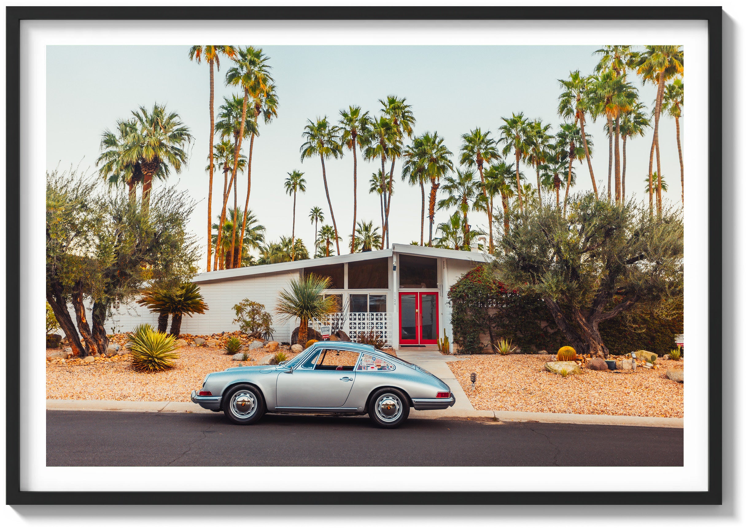 Mid-Century Oasis