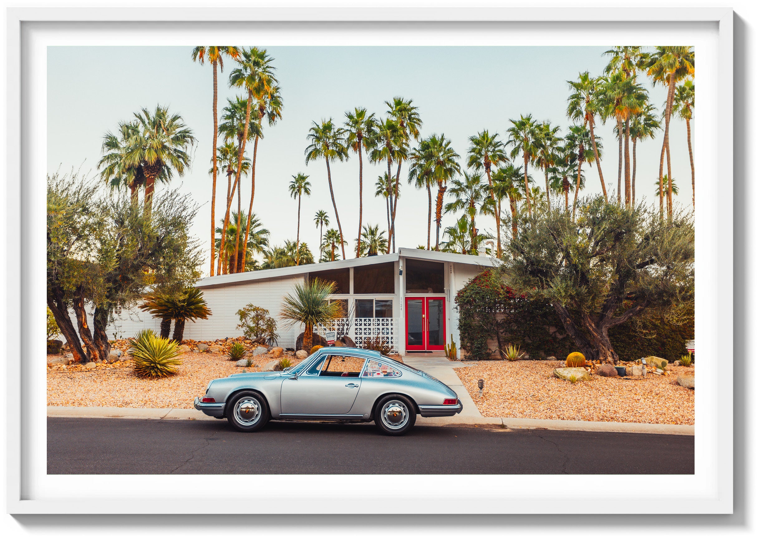 Mid-Century Oasis