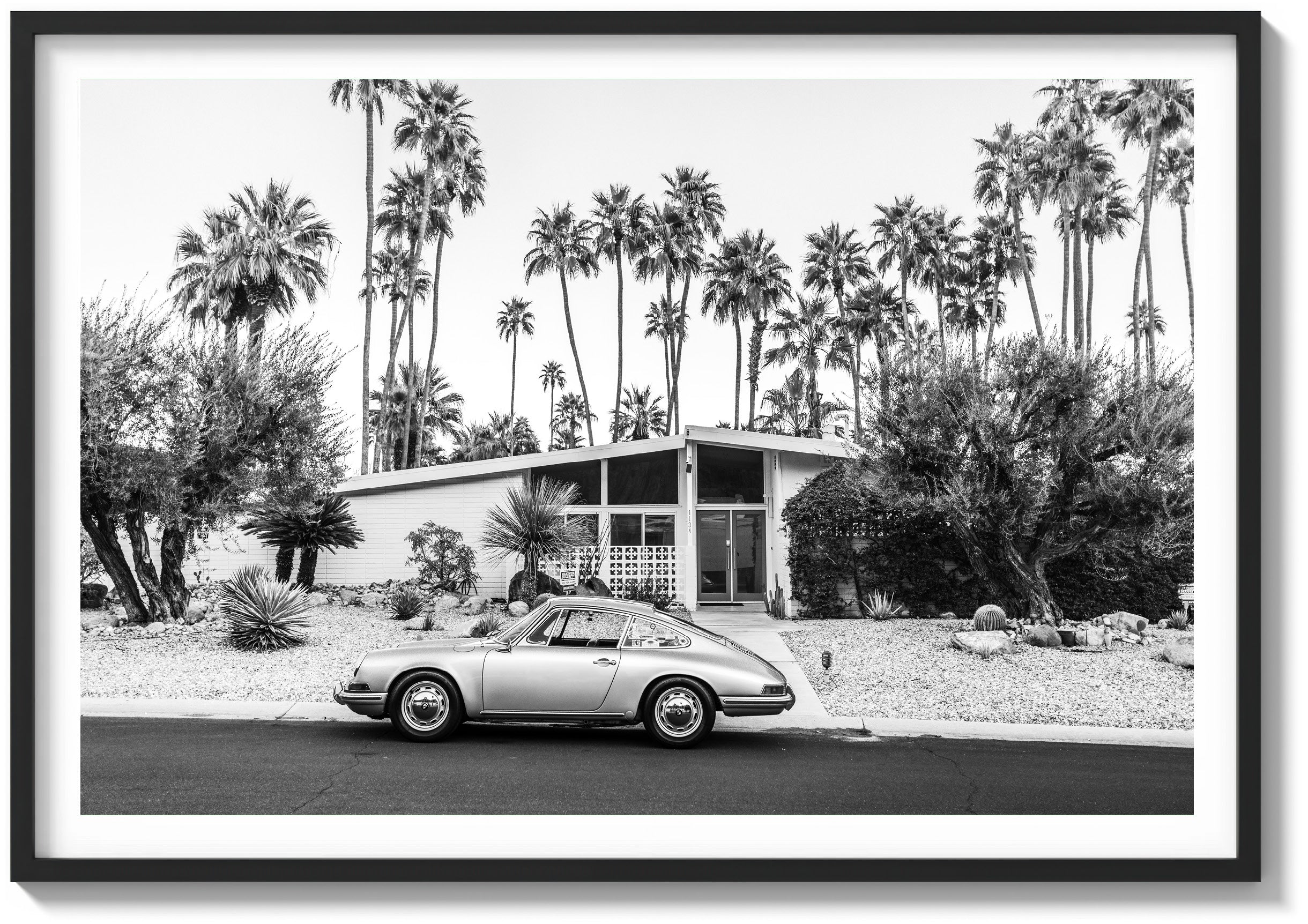 Mid-Century Oasis