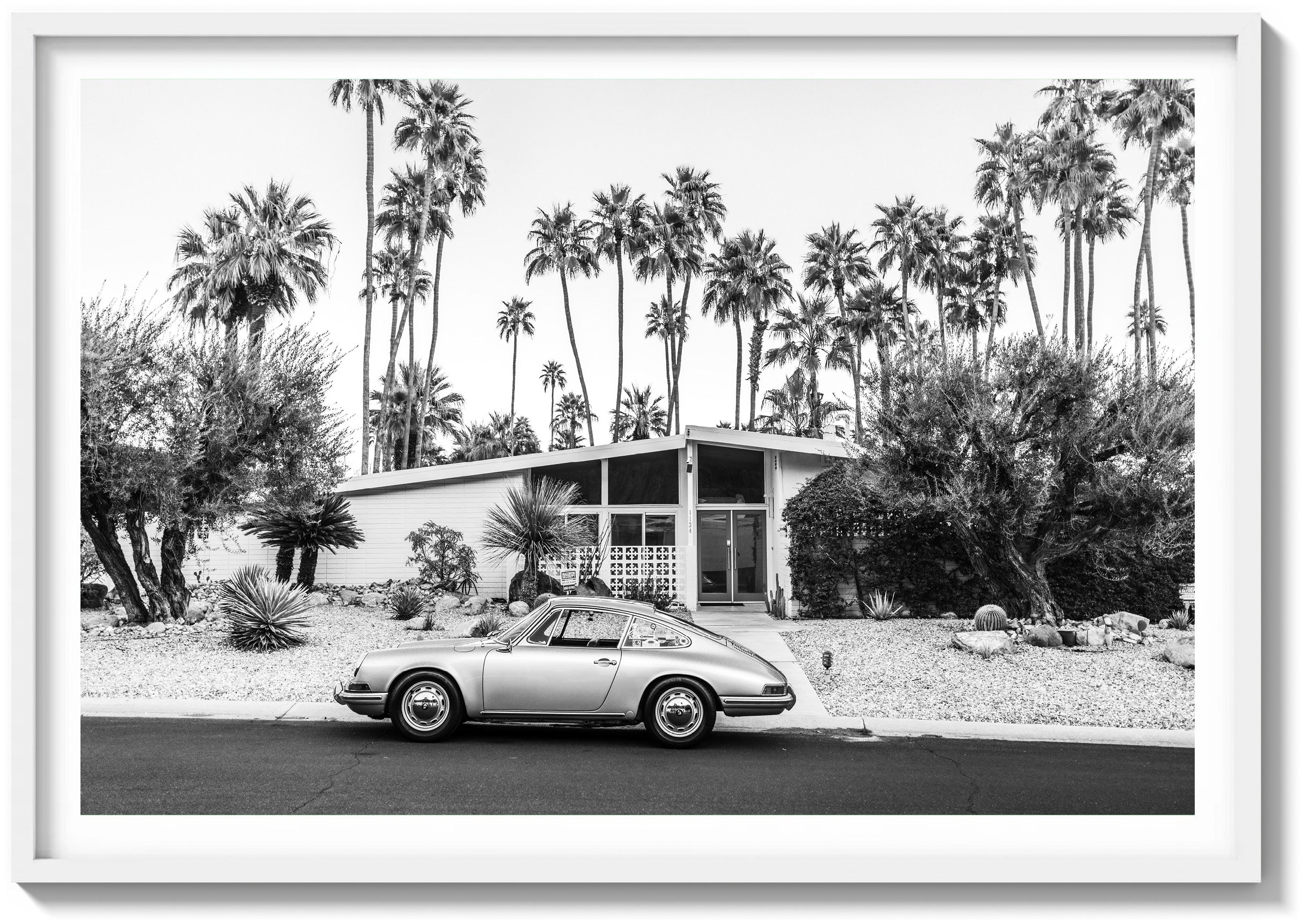 Mid-Century Oasis