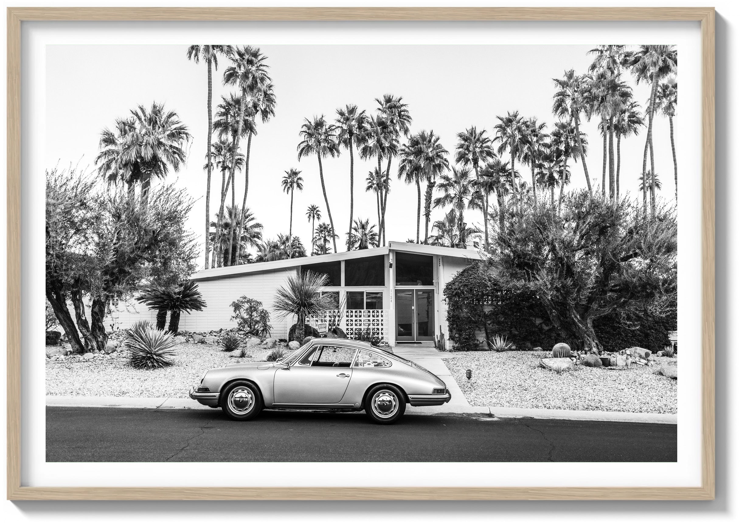 Mid-Century Oasis