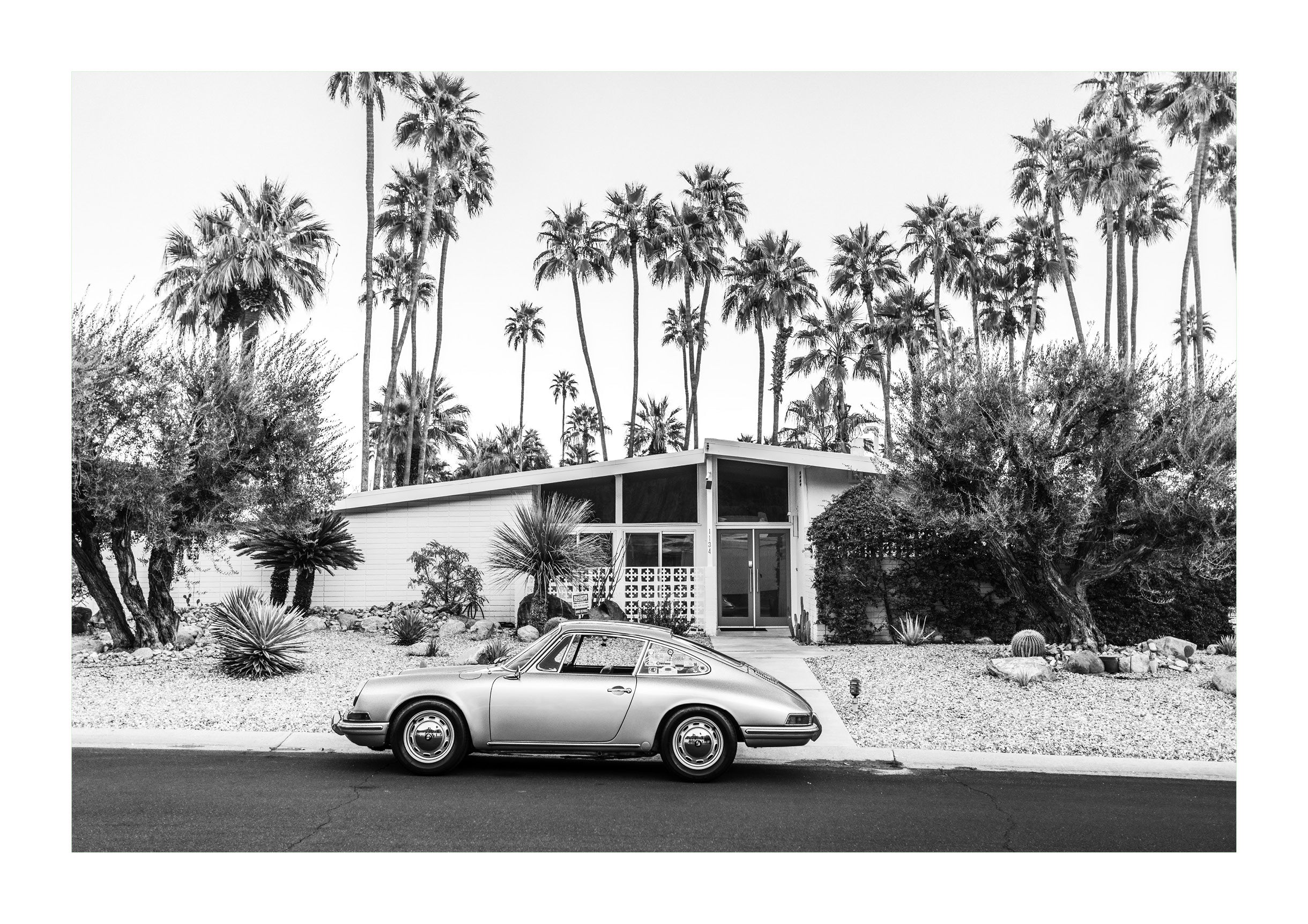 Mid-Century Oasis